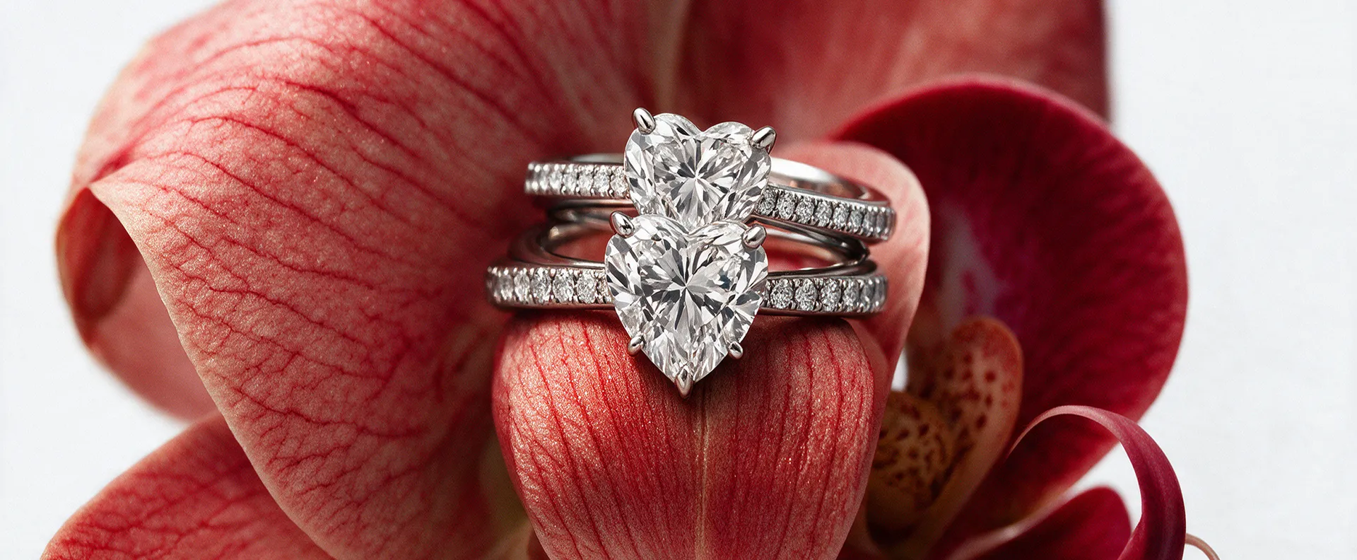 Hidden Halo vs Halo Rings: Which Setting Gives More Sparkle?