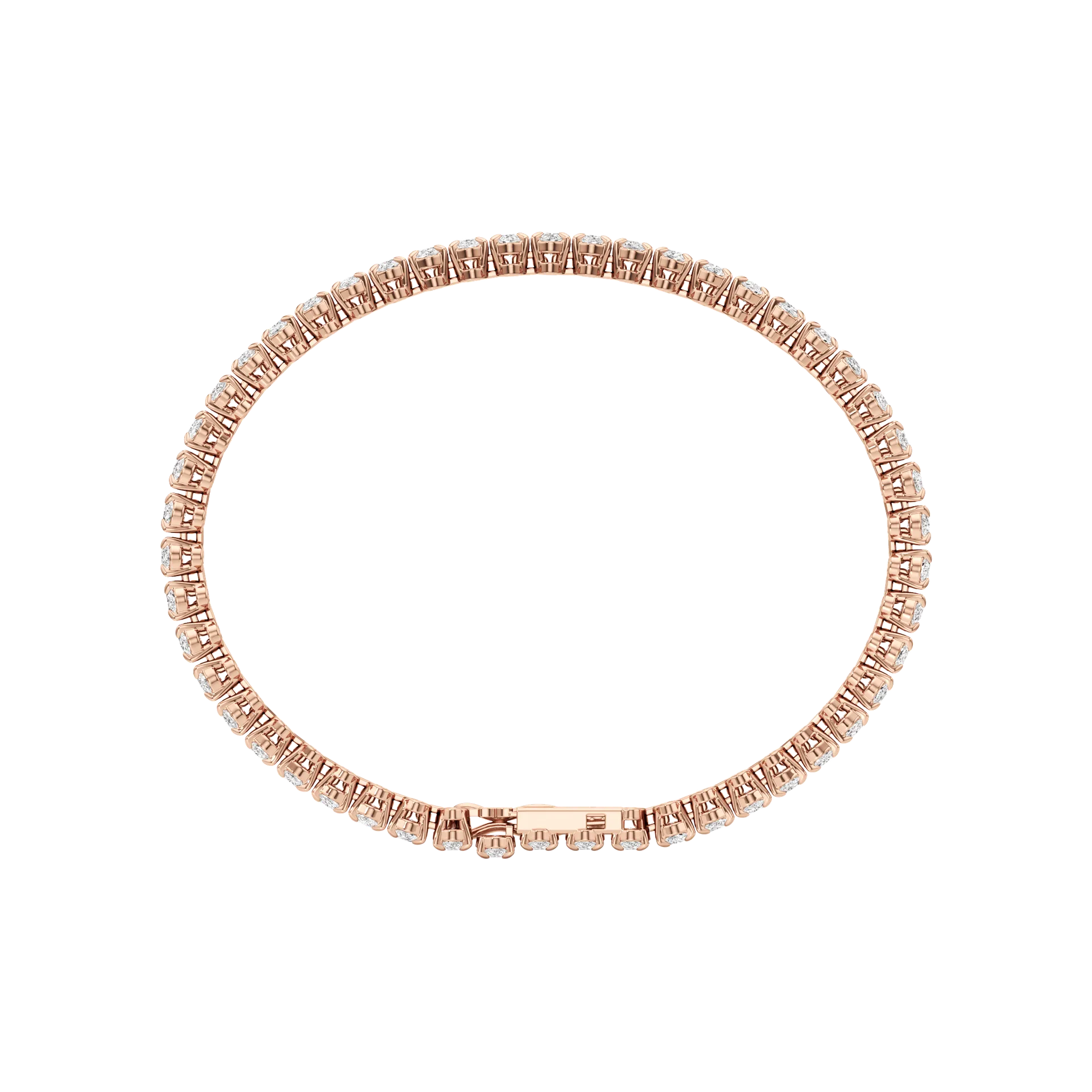 Éternelle Jour Rose 5