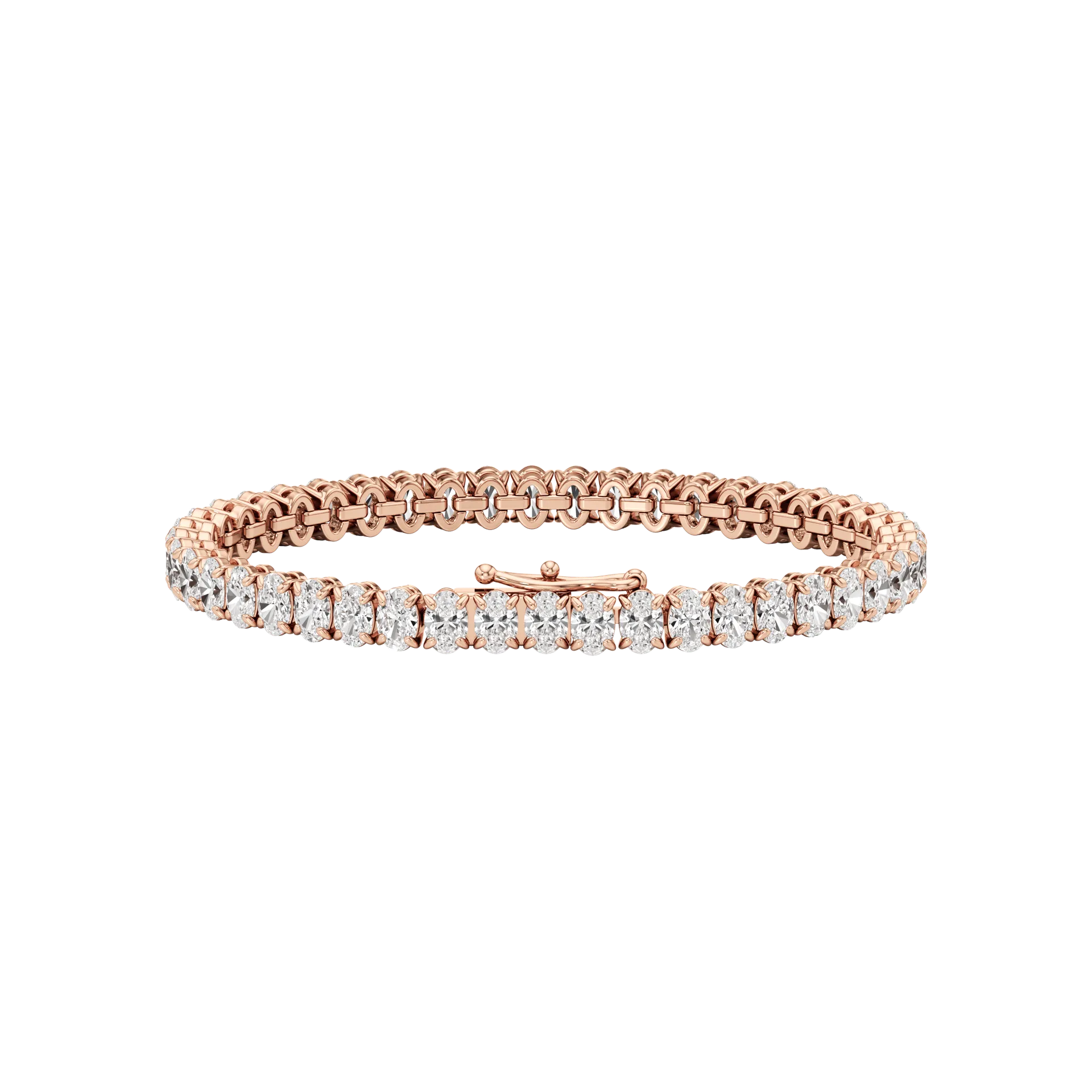 Éternelle Vivace Rose 3