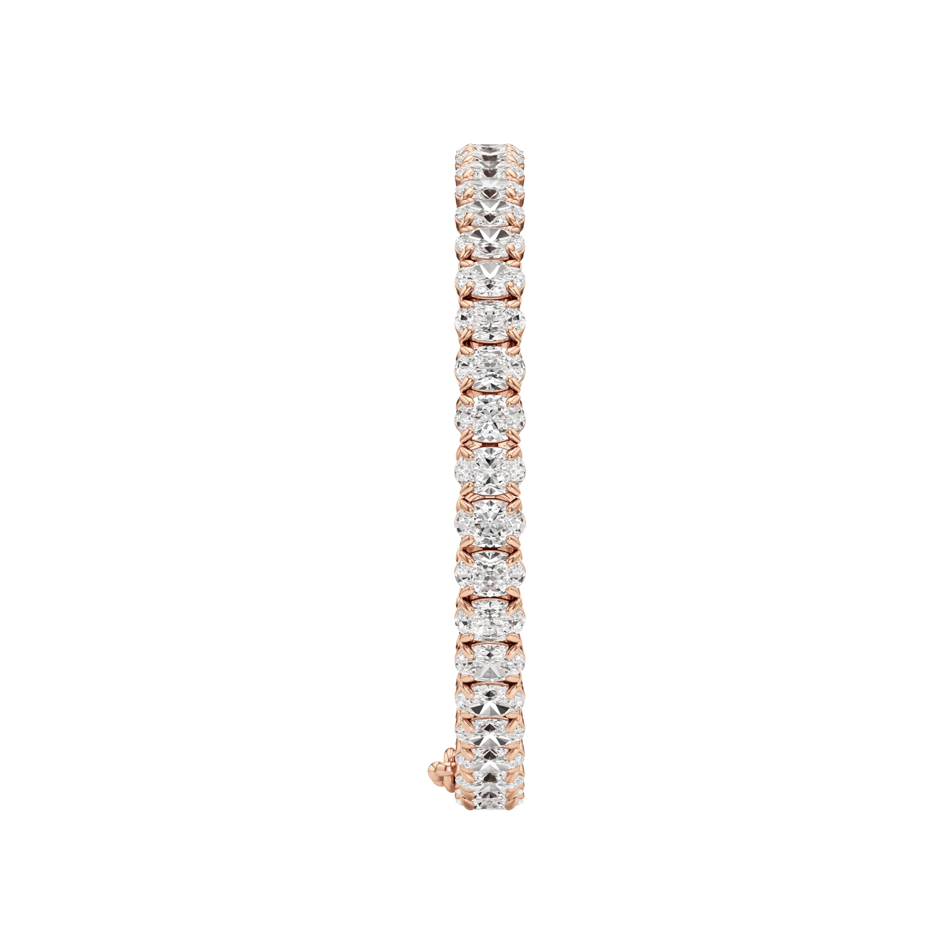 Éternelle Vivace Rose 4