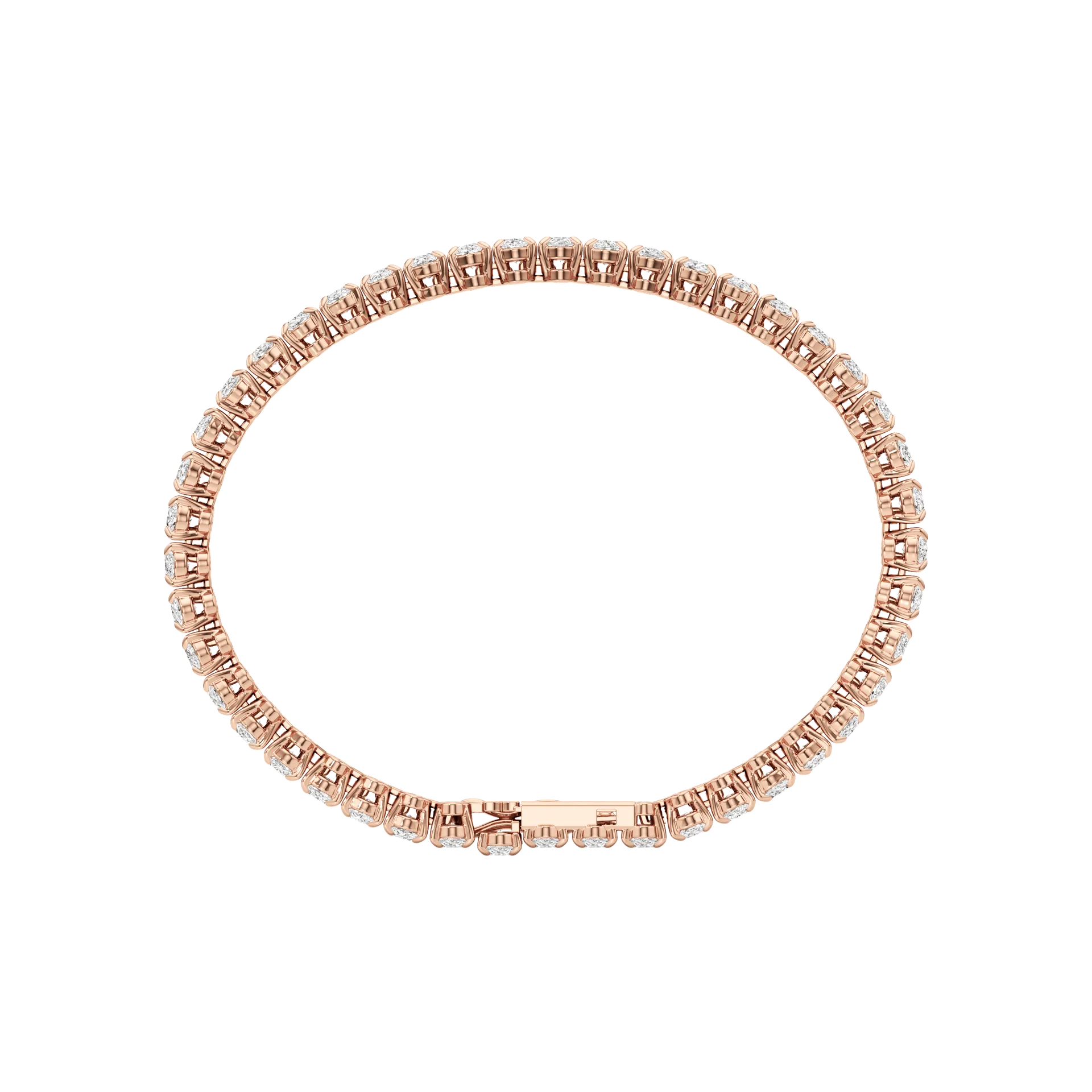 Éternelle Vivace Rose 5