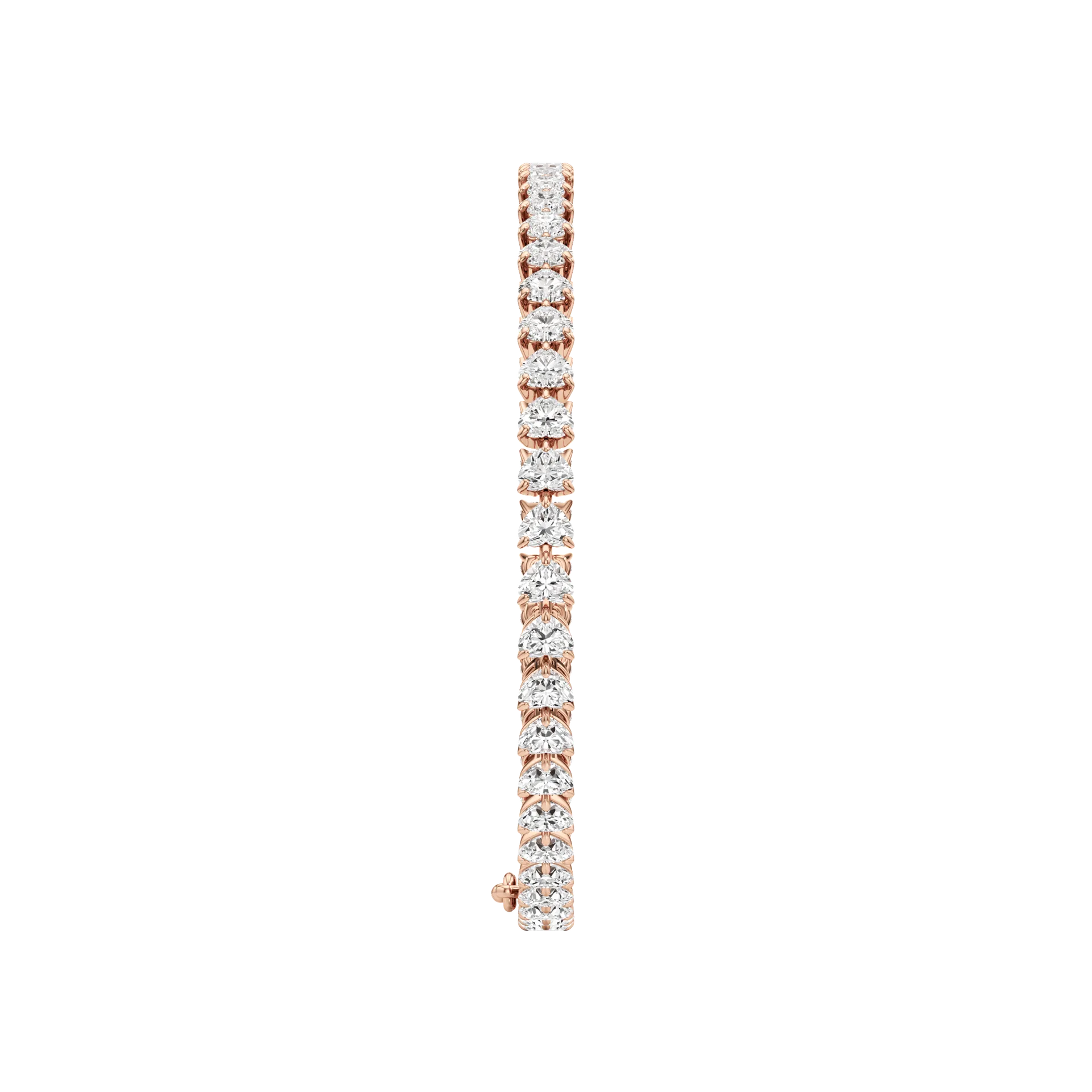 Éternelle Rose Rose 4