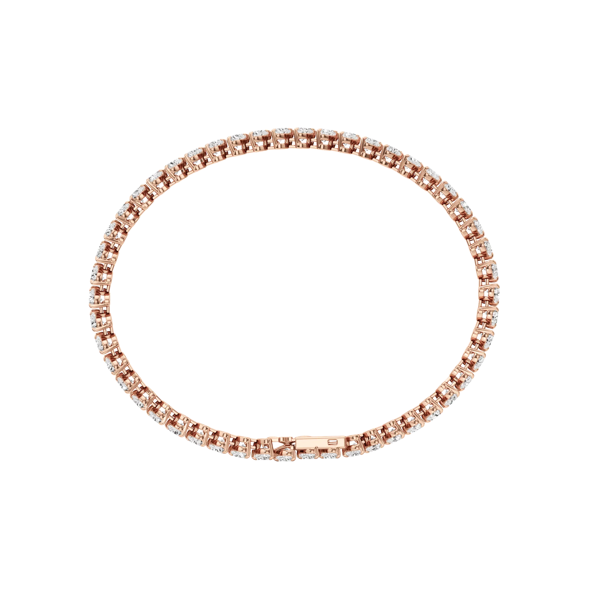 Éternelle Rose Rose 5