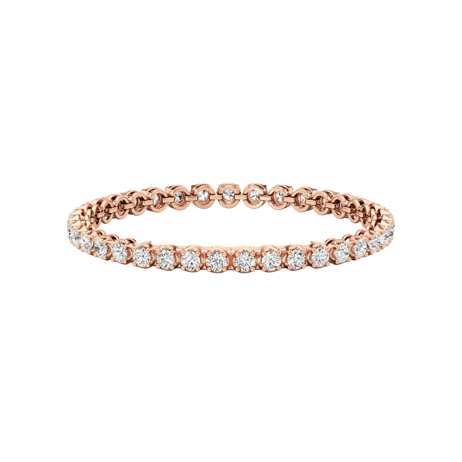 Éternelle Fière Rose 3