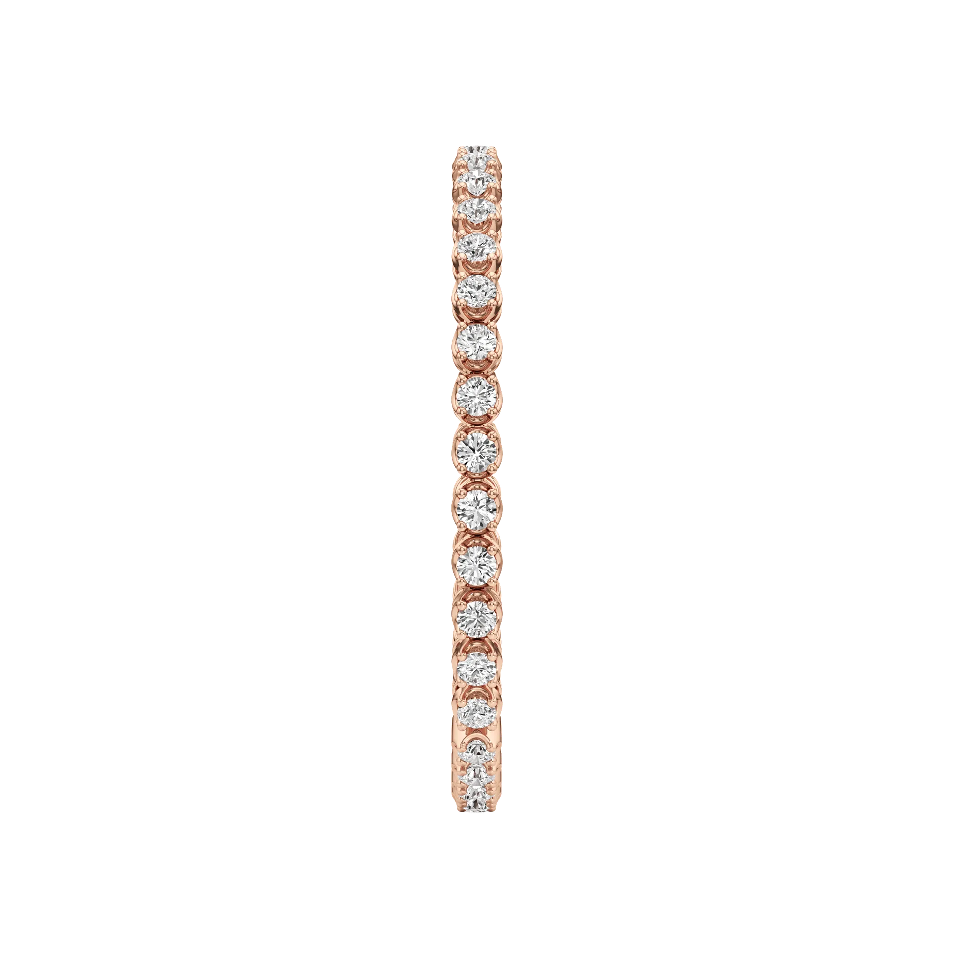 Éternelle Fière Rose 4