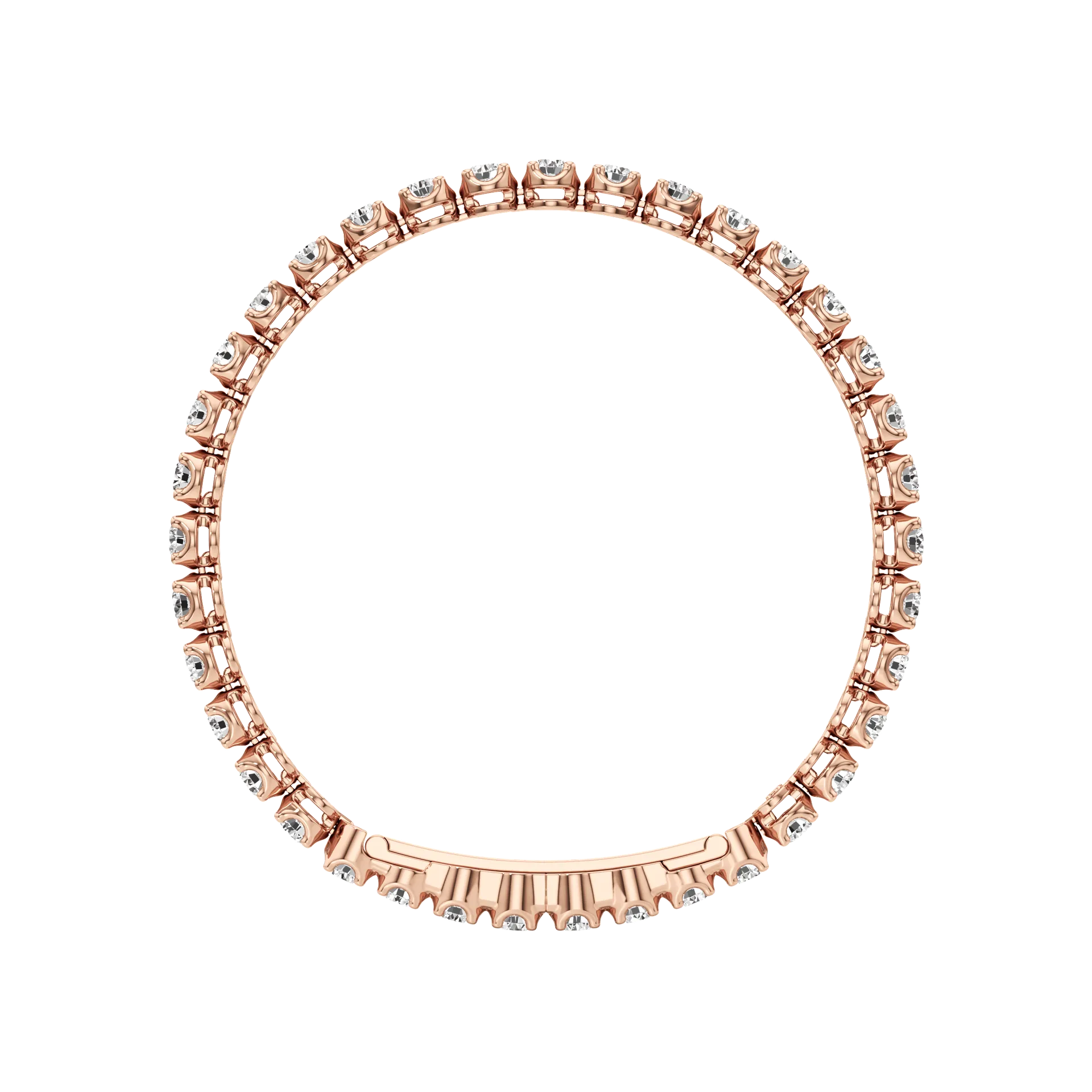Éternelle Fière Rose 5