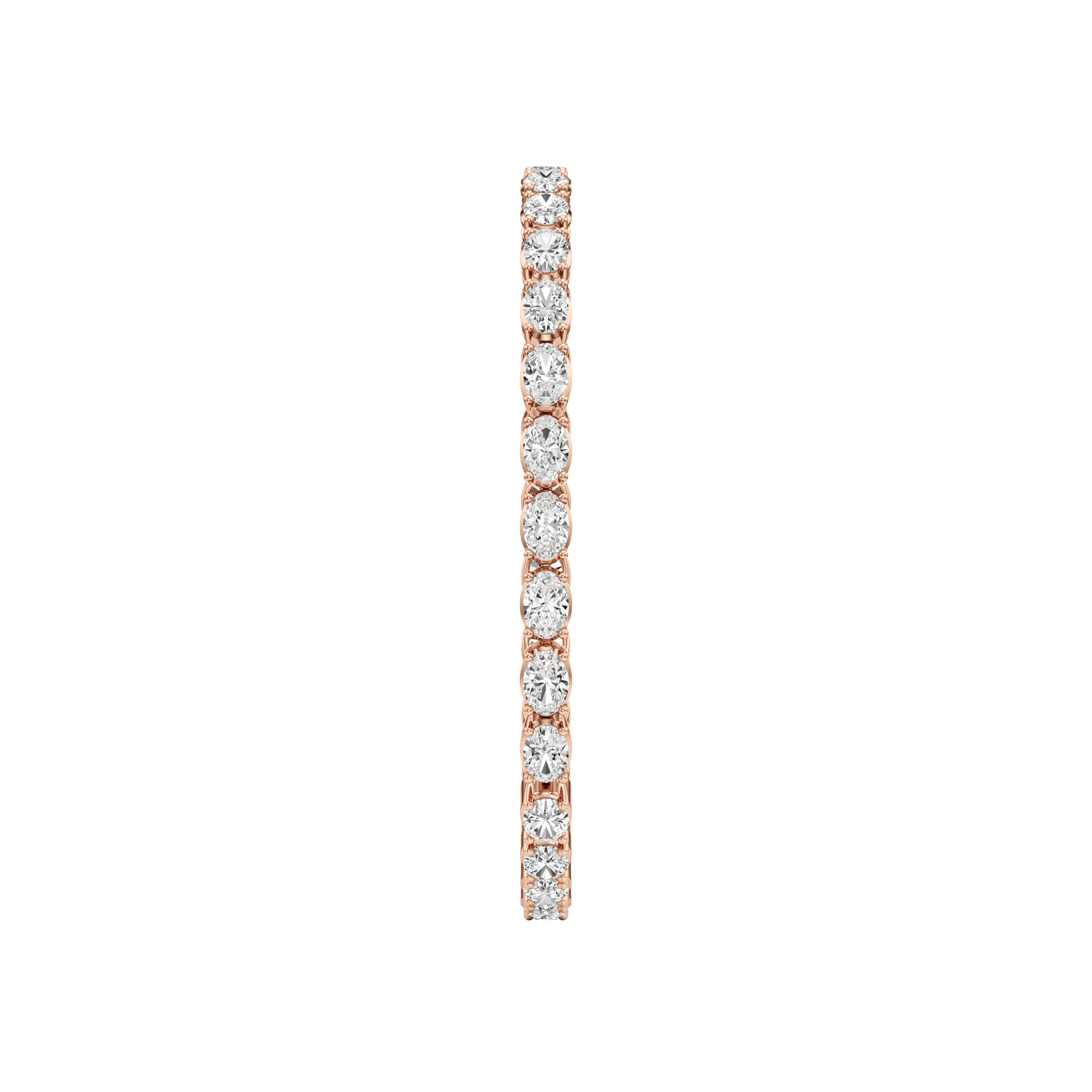 Éternelle Grande Rose 4
