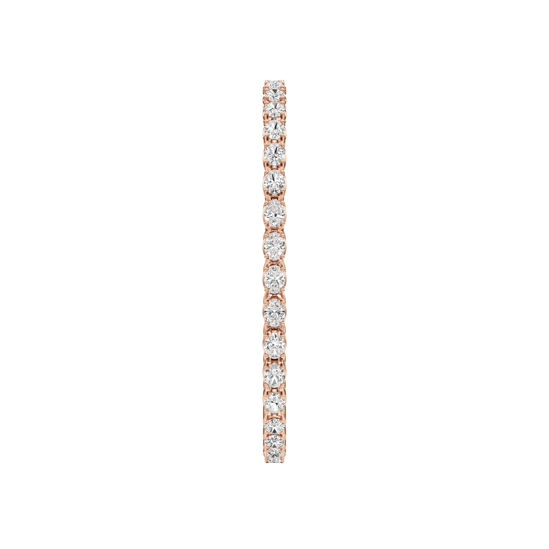 Éternelle Sei Rose 4