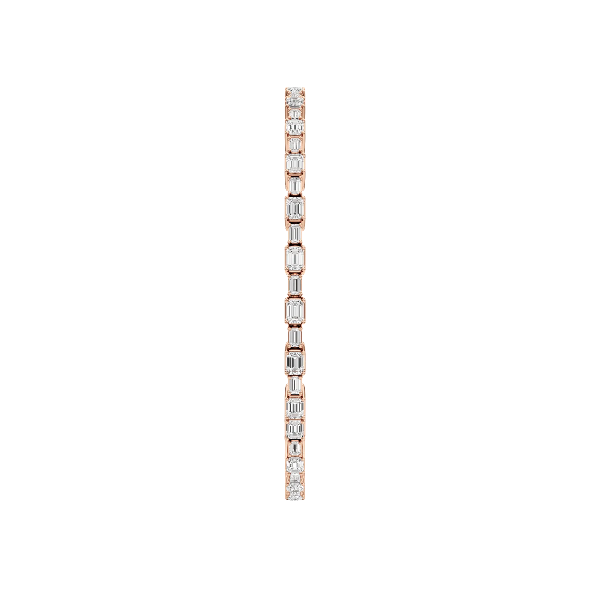 Éternelle Haute Rose 4