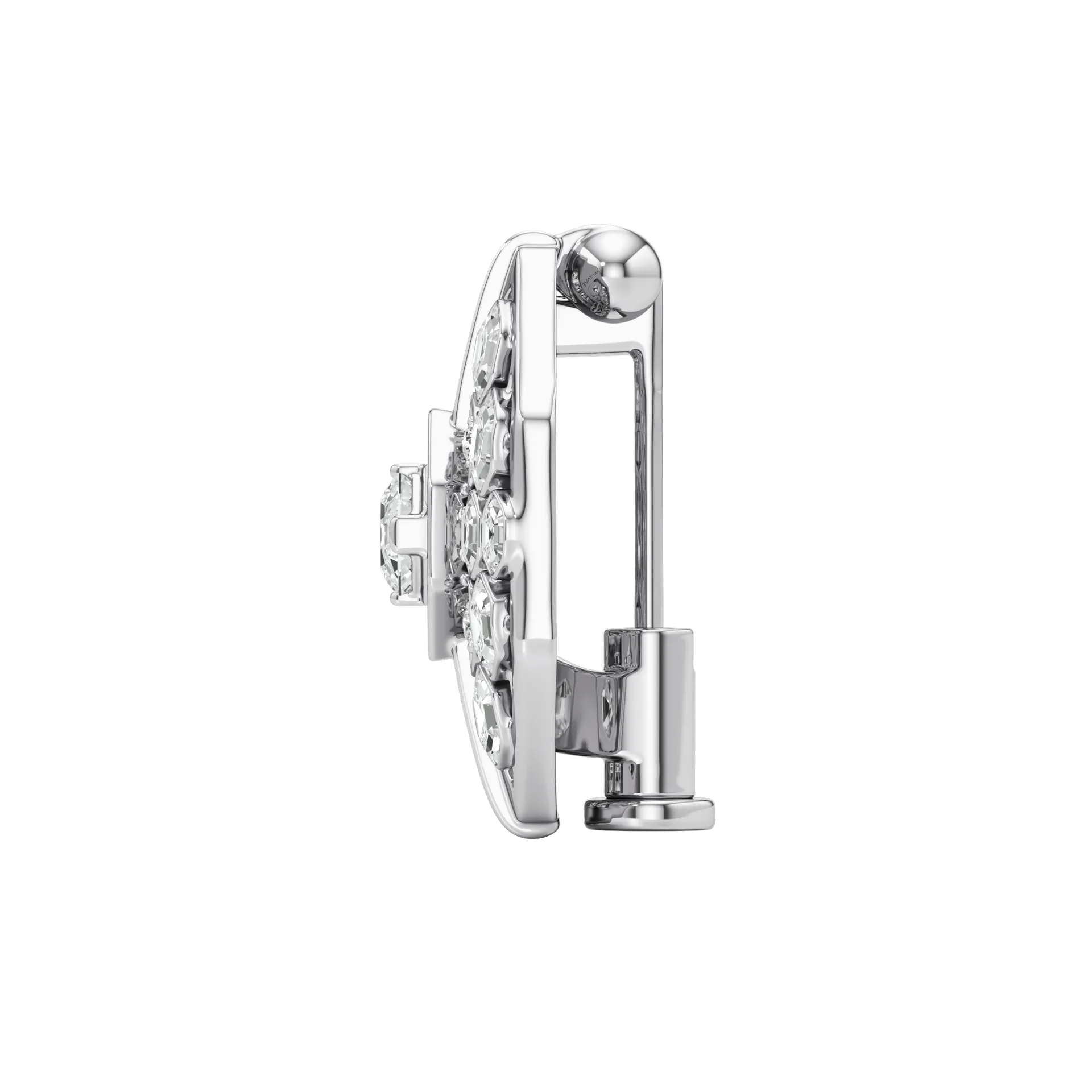 Insignis White 3