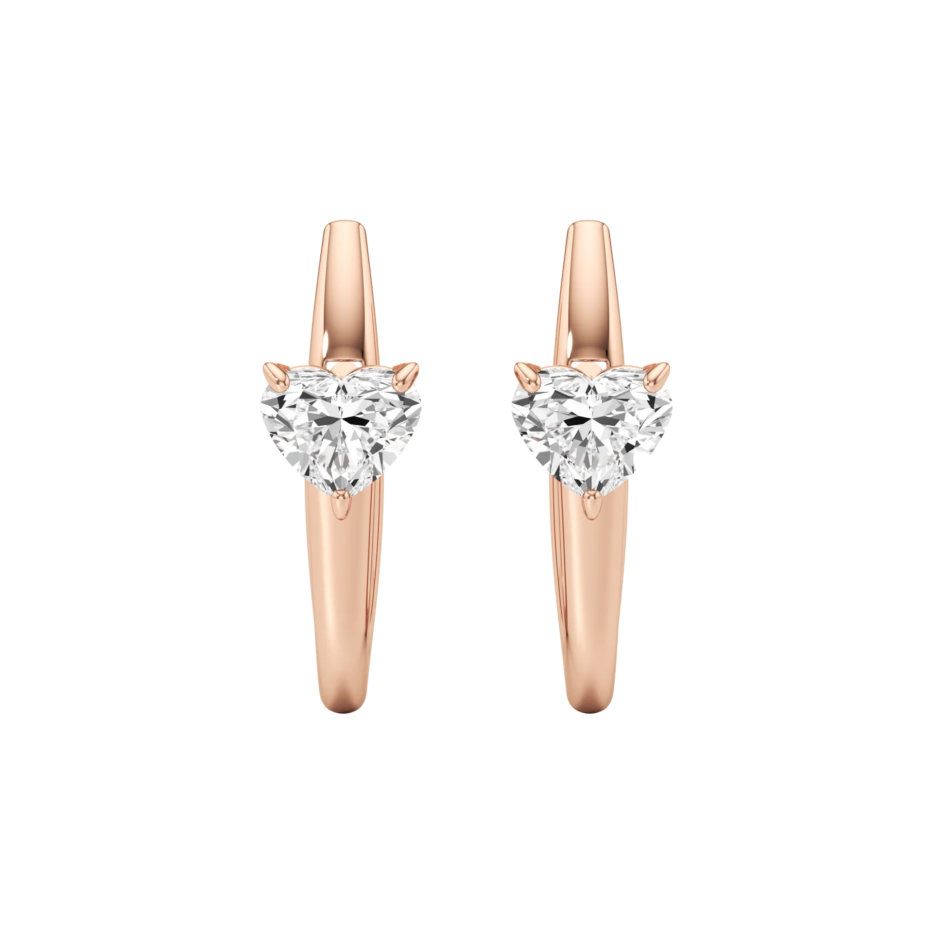 Câline Halo Rose 1