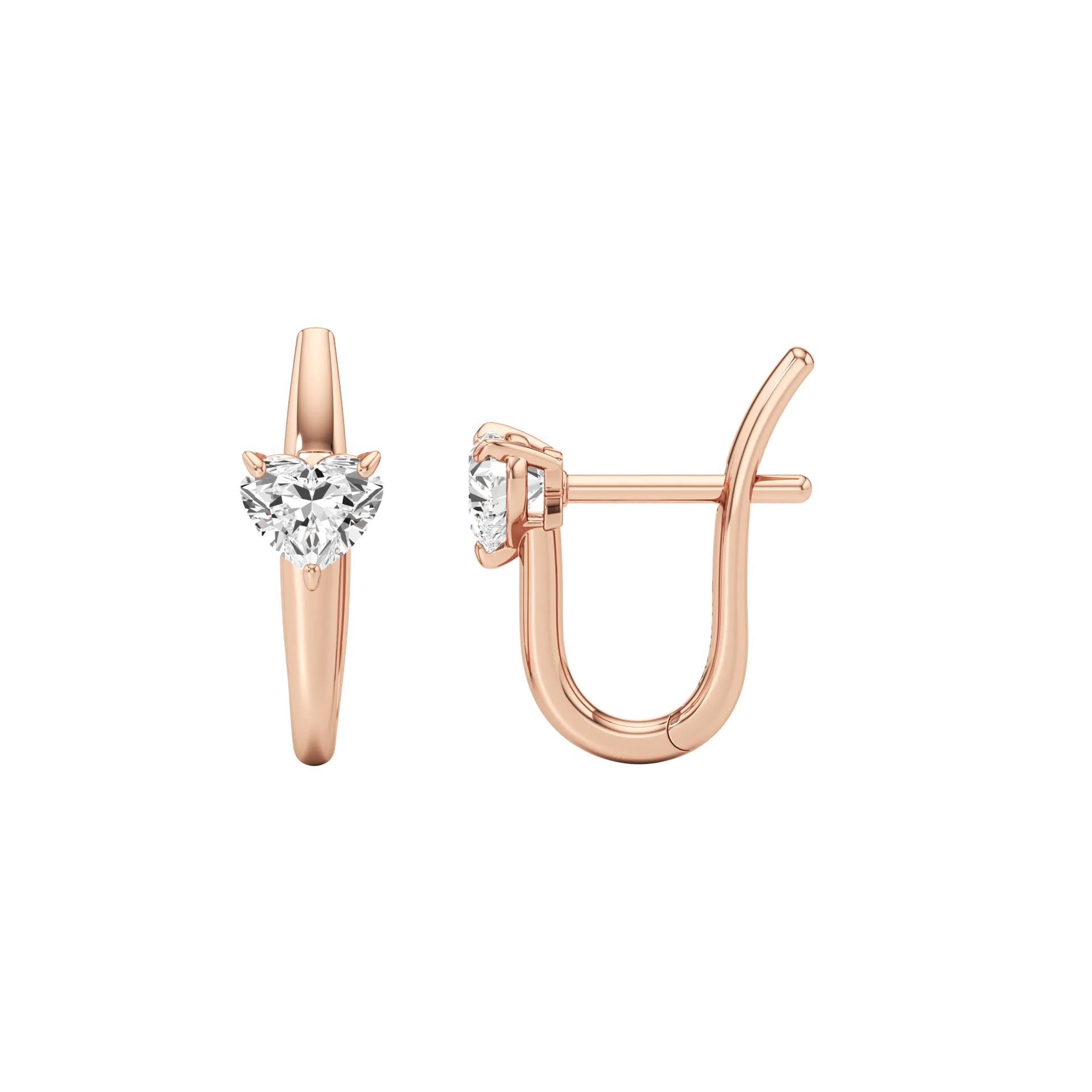 Câline Halo Rose 2