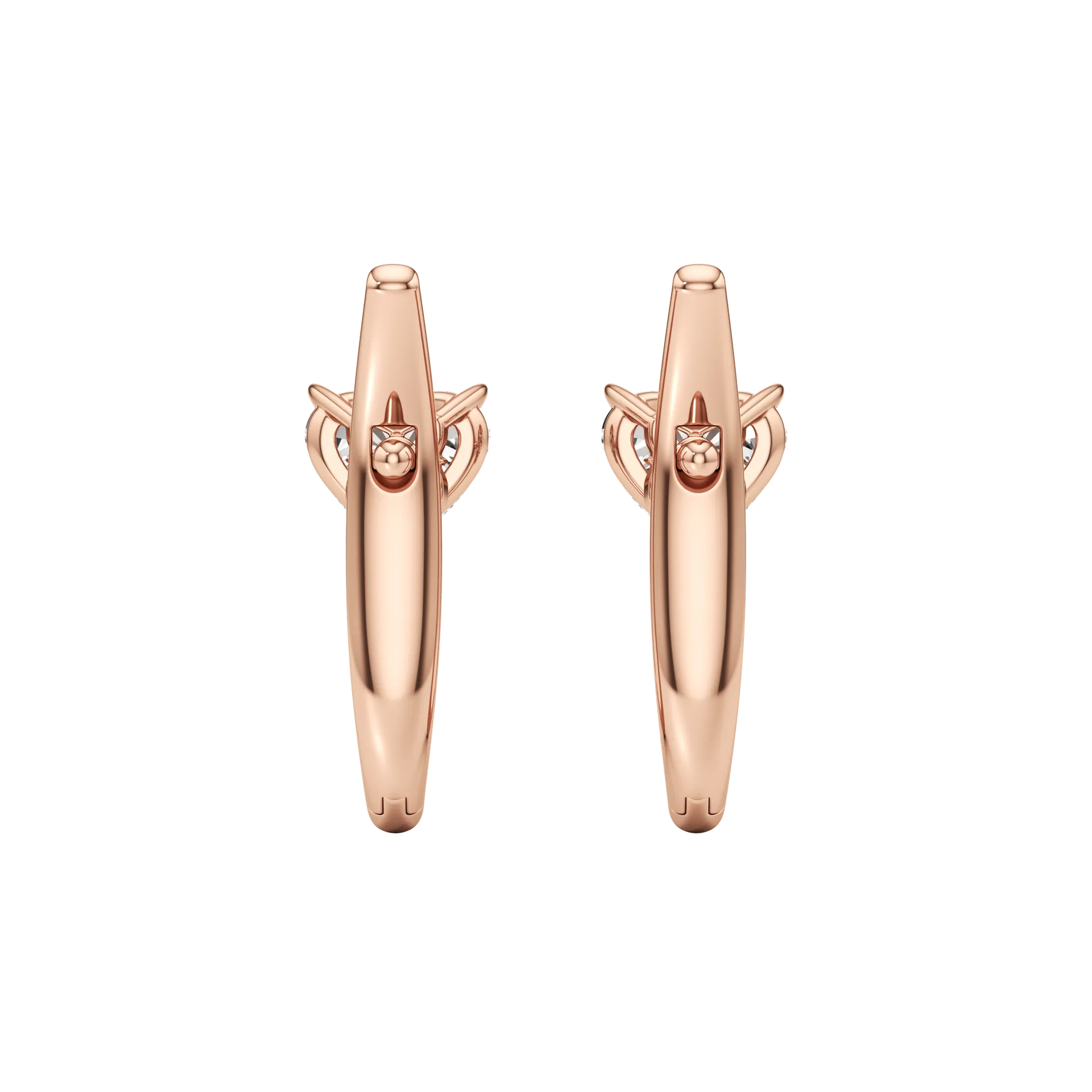 Câline Halo Rose 4