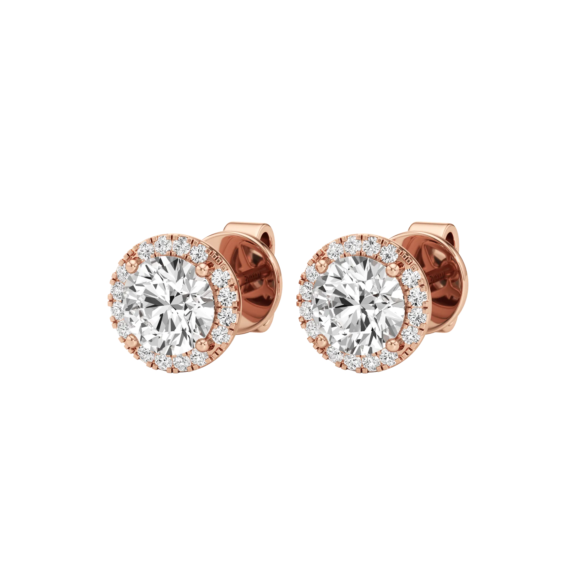 Enigma Douce Rose 3