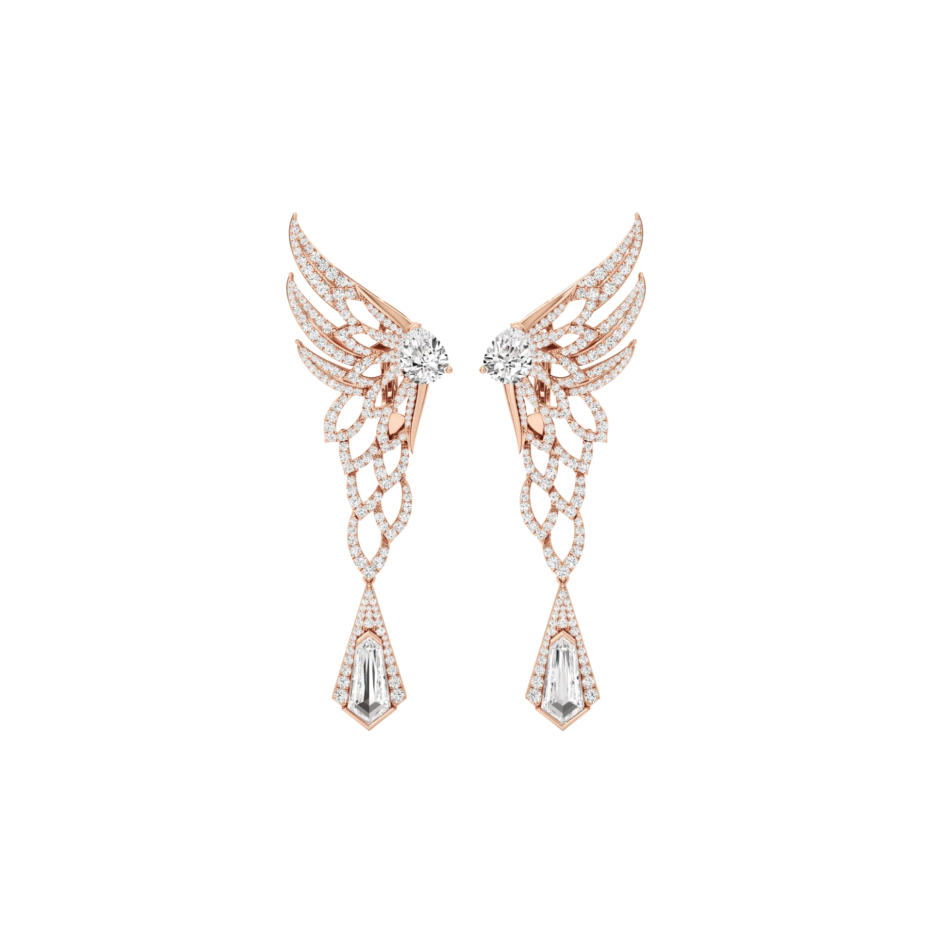 Plume Rose 1