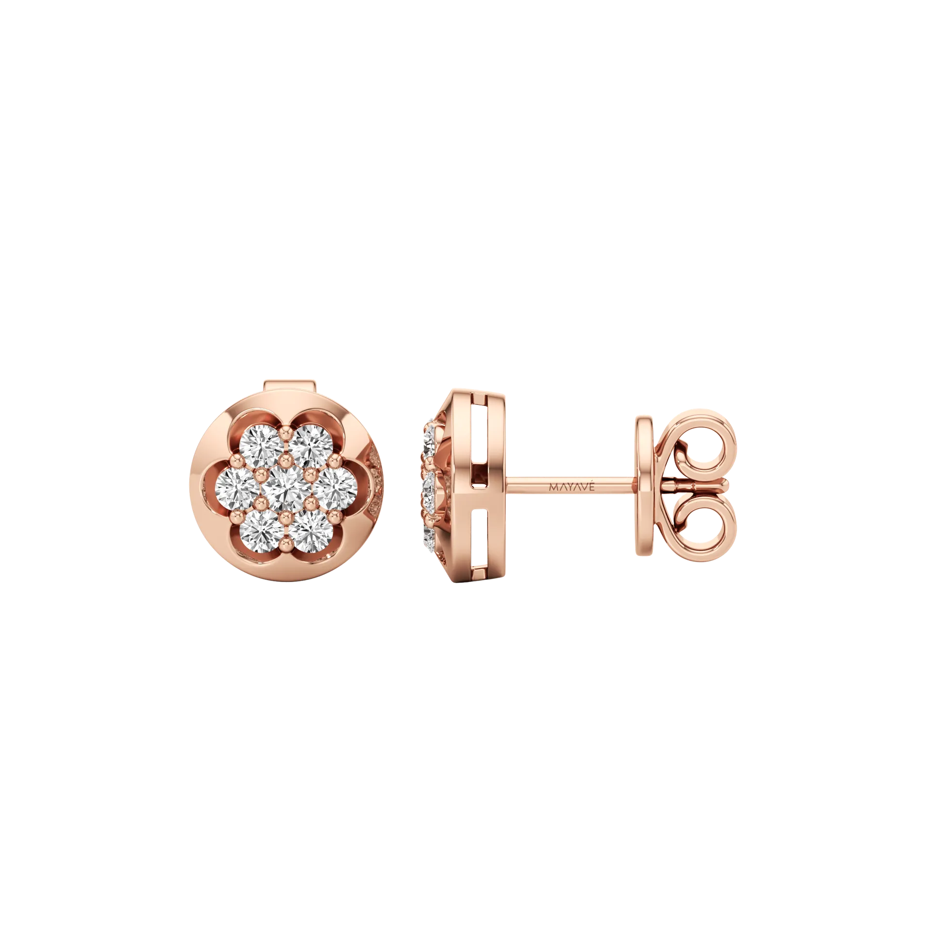 Splendore Rose 2
