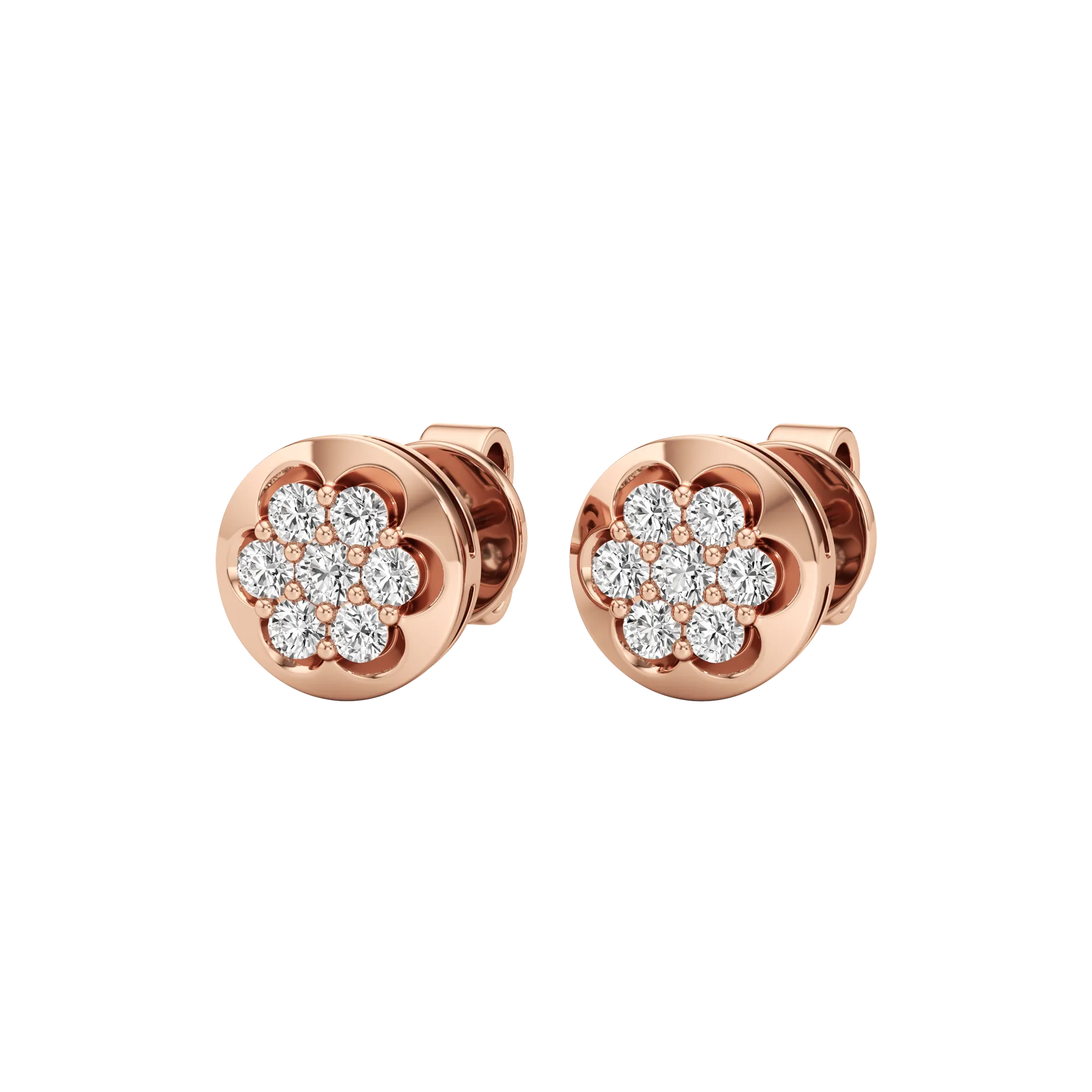 Splendore Rose 3