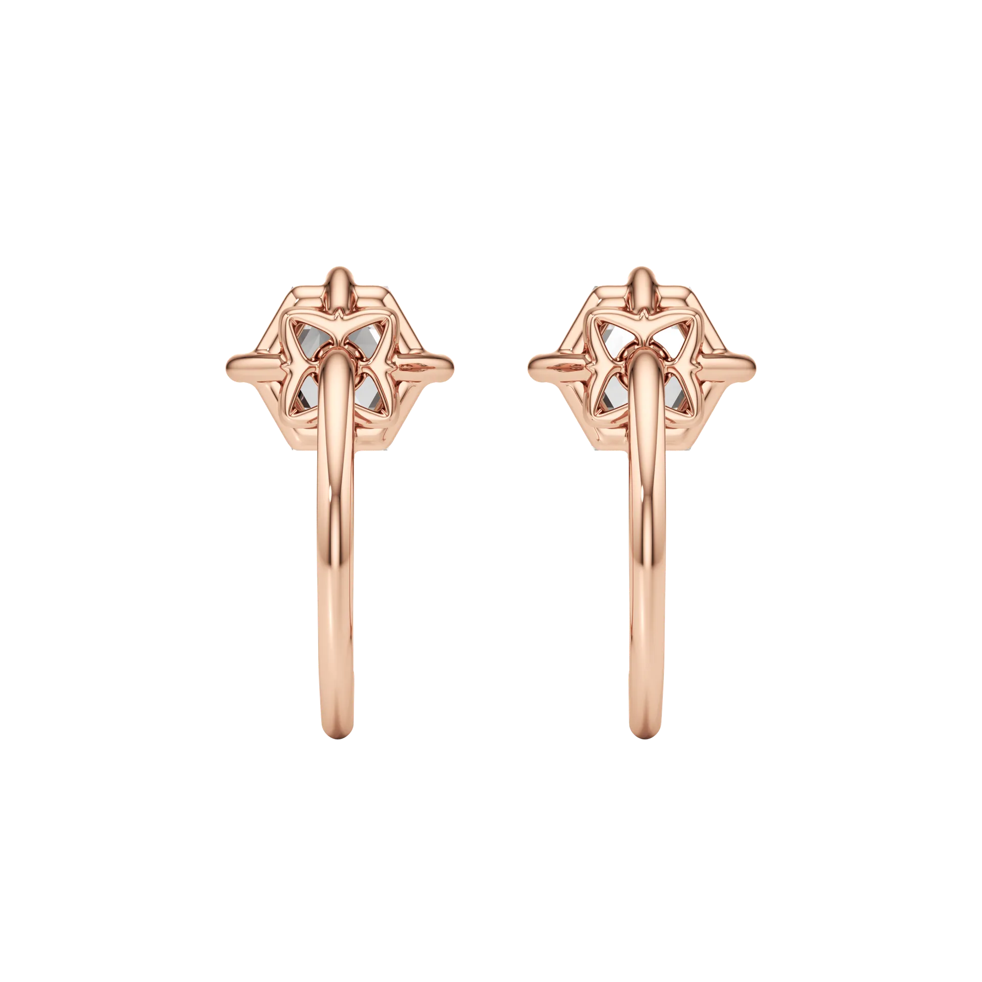 Câline Rosette Rose 4