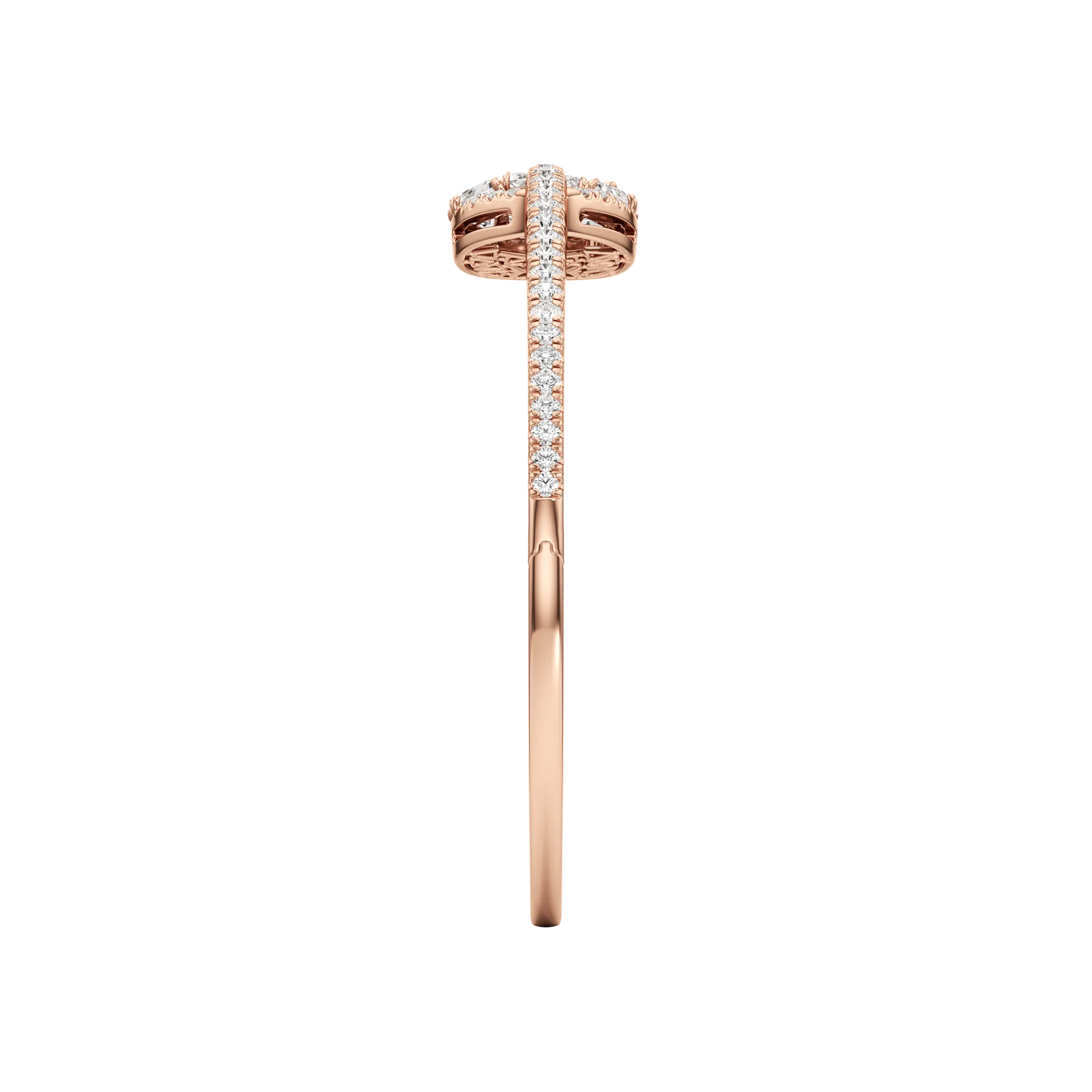 Nobile Rose 4
