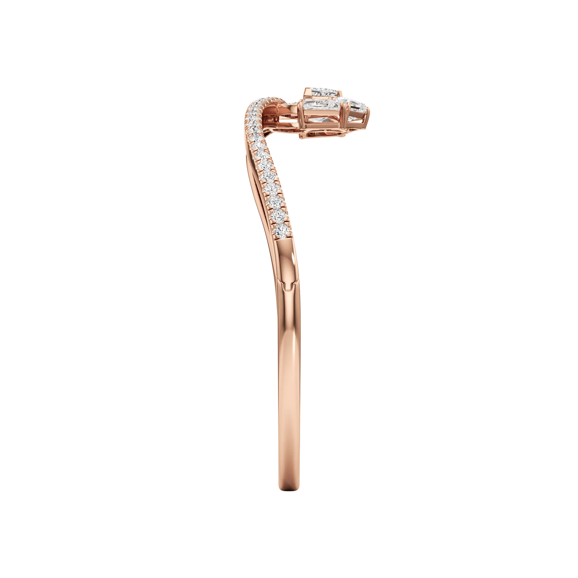 Oblongue Pleine Rose 4