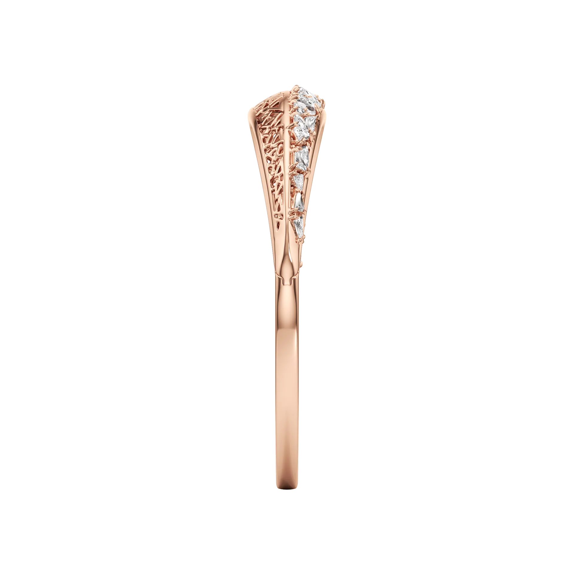 Elio Rose 4