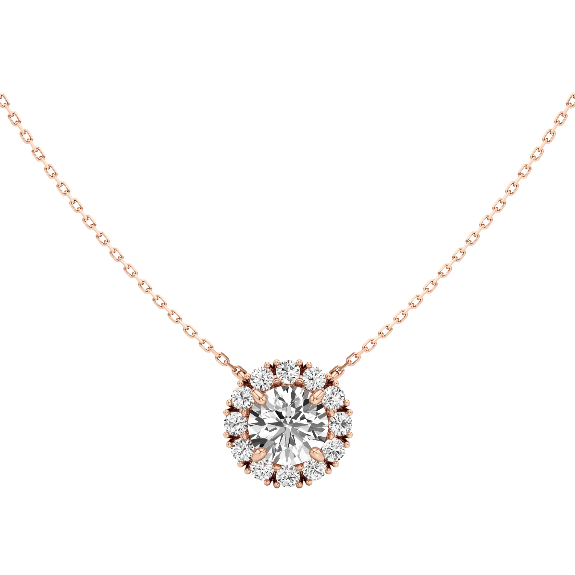 Gloréa Rose 1