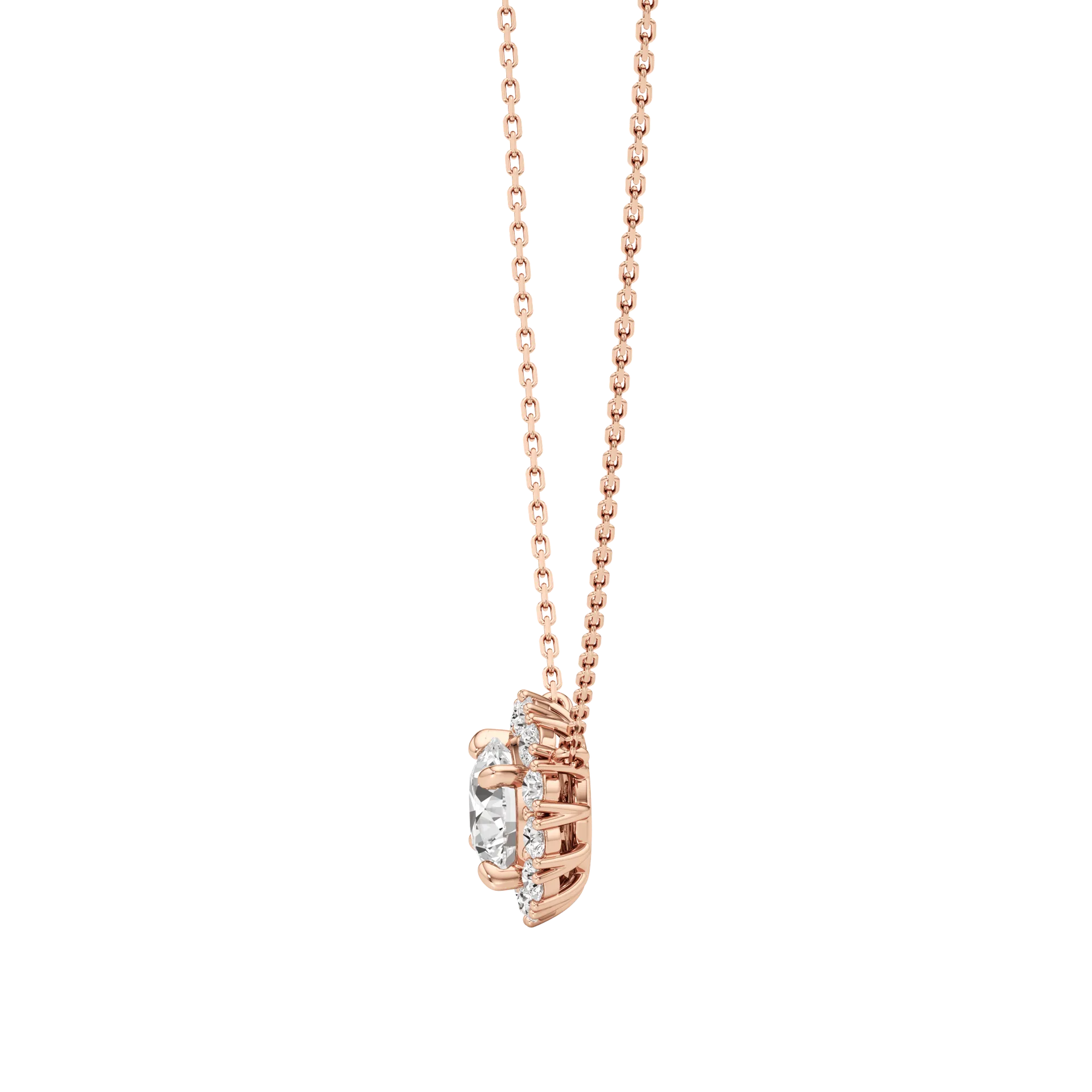 Gloréa Rose 2