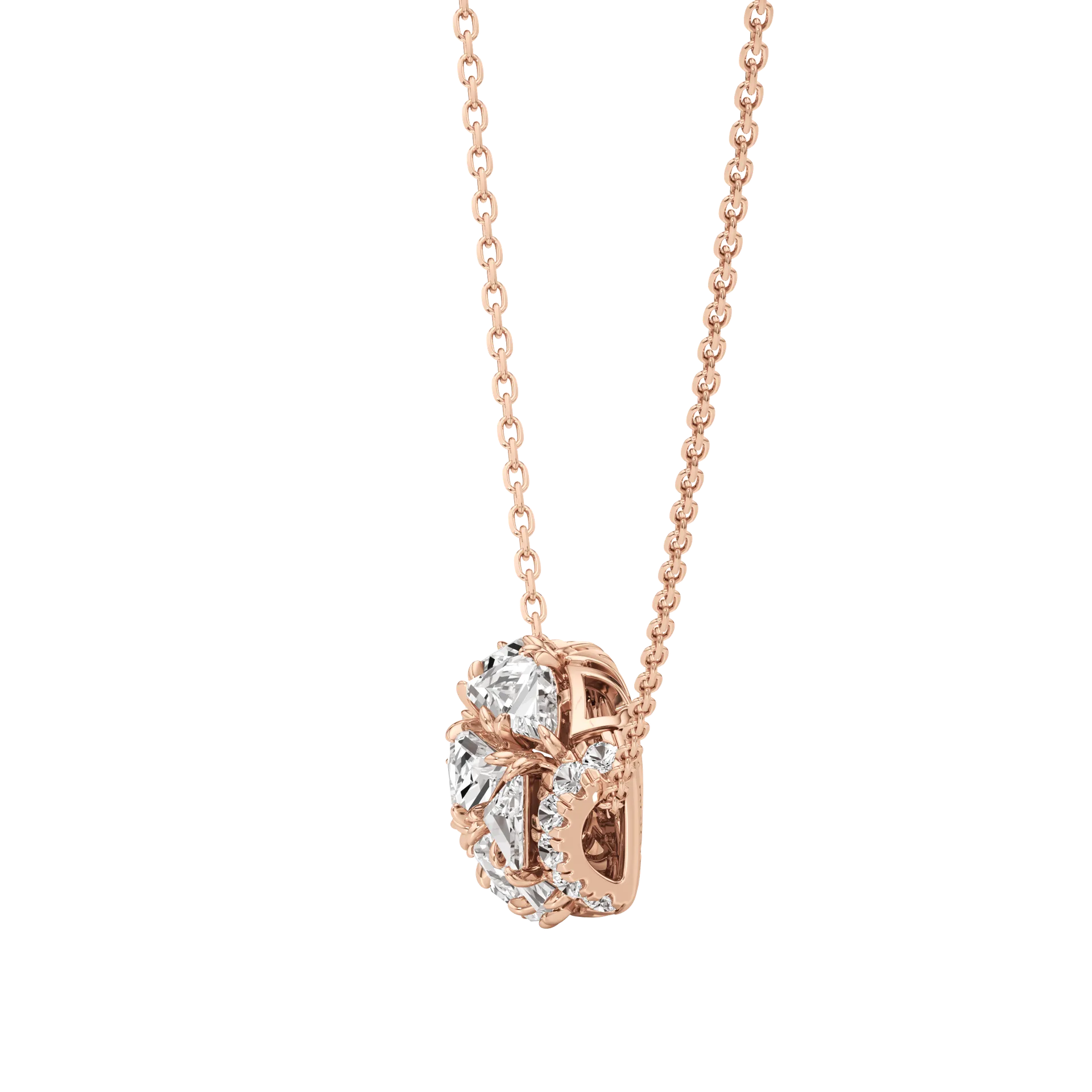 Presenza Rose 2