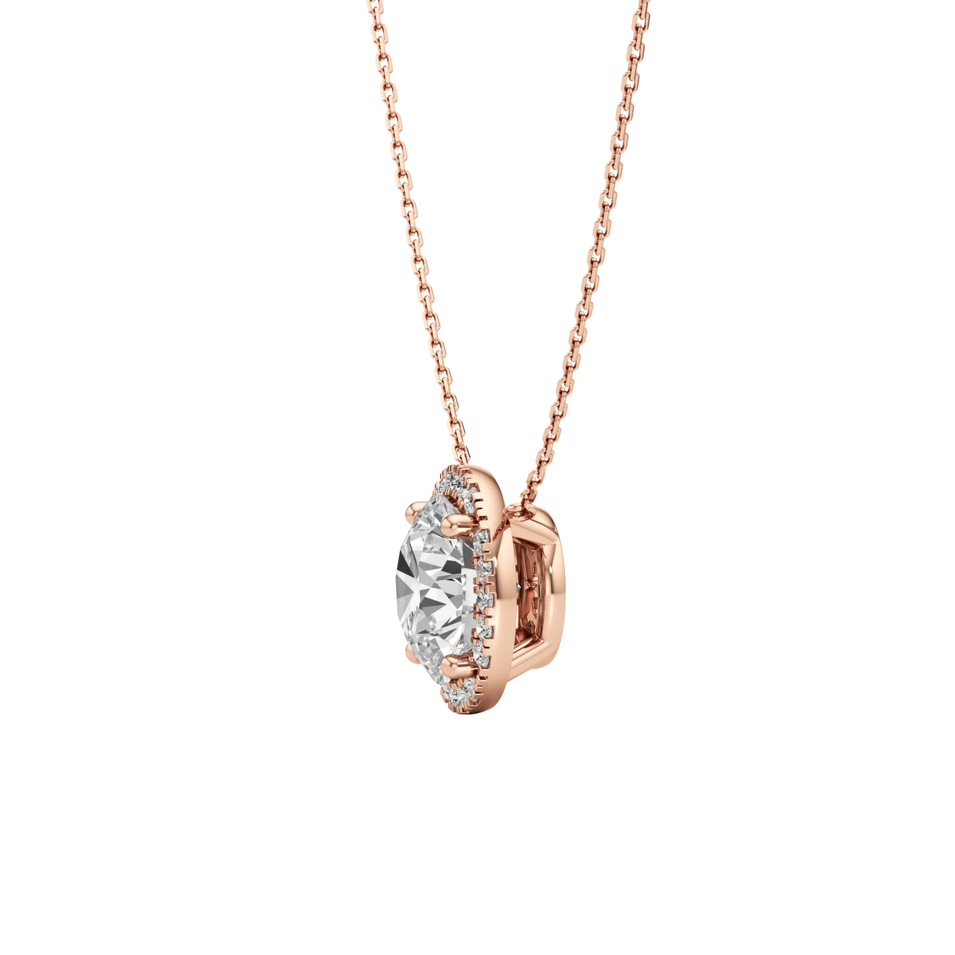 Celée Forte Rose 3