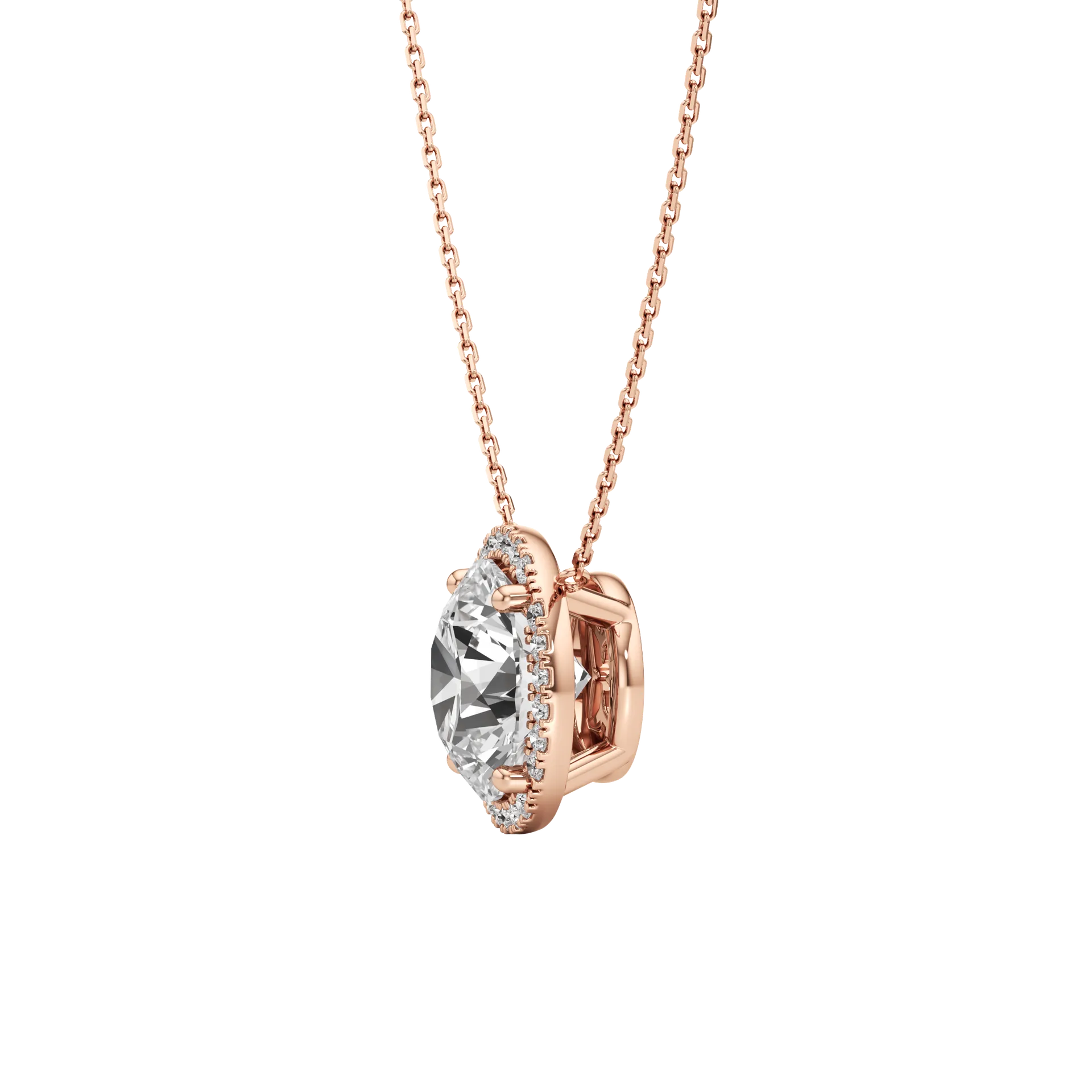 Celée Majeure Rose 3
