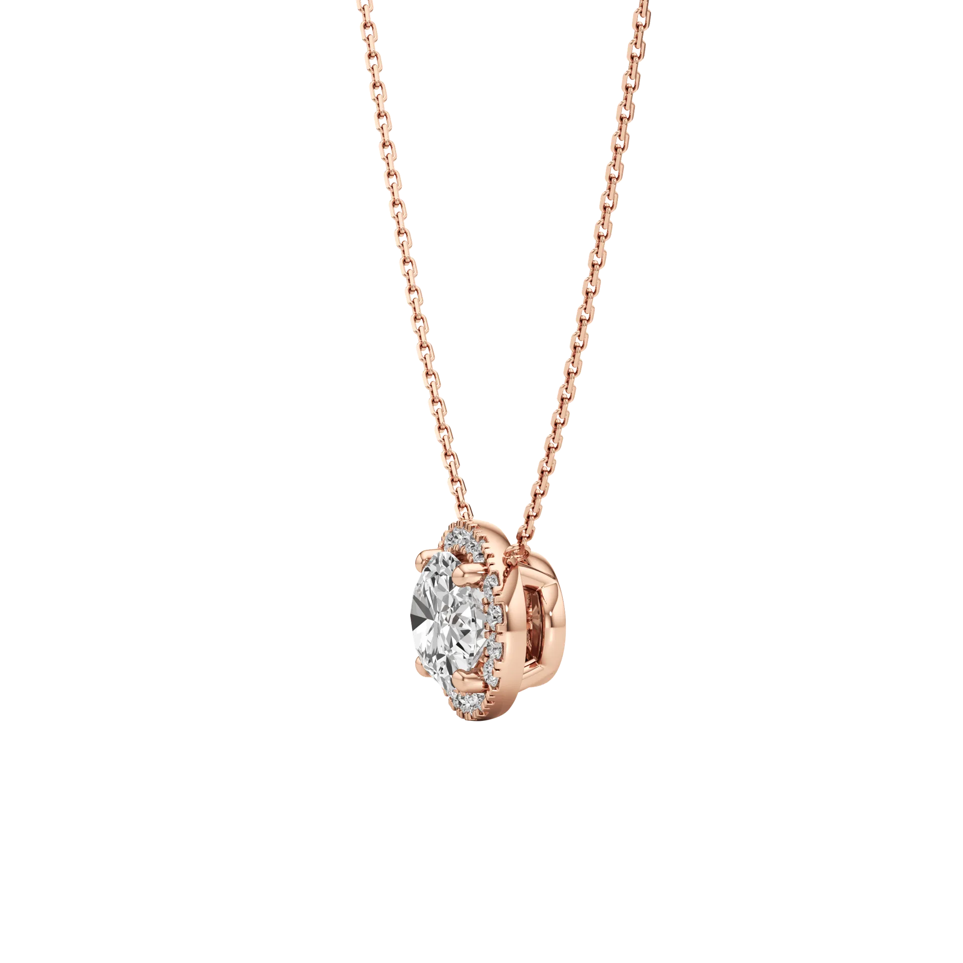Celée Élan Rose 3