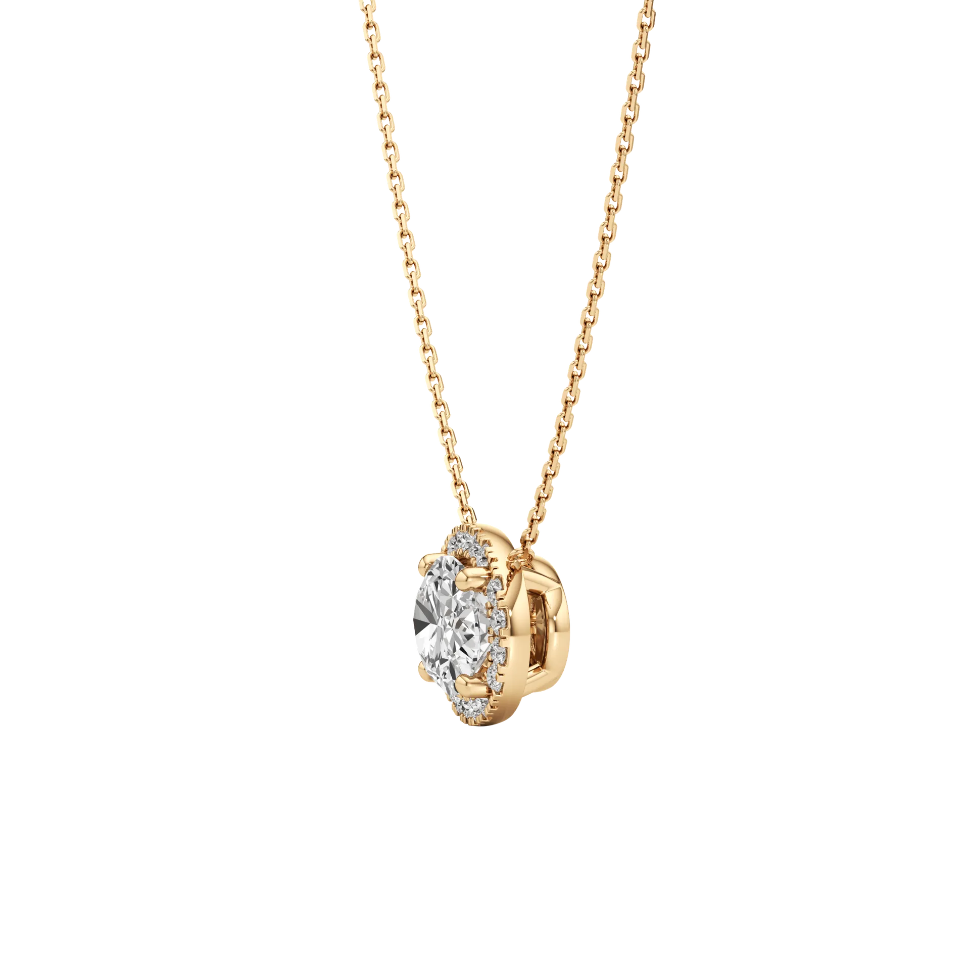 Celée Élan Yellow 3