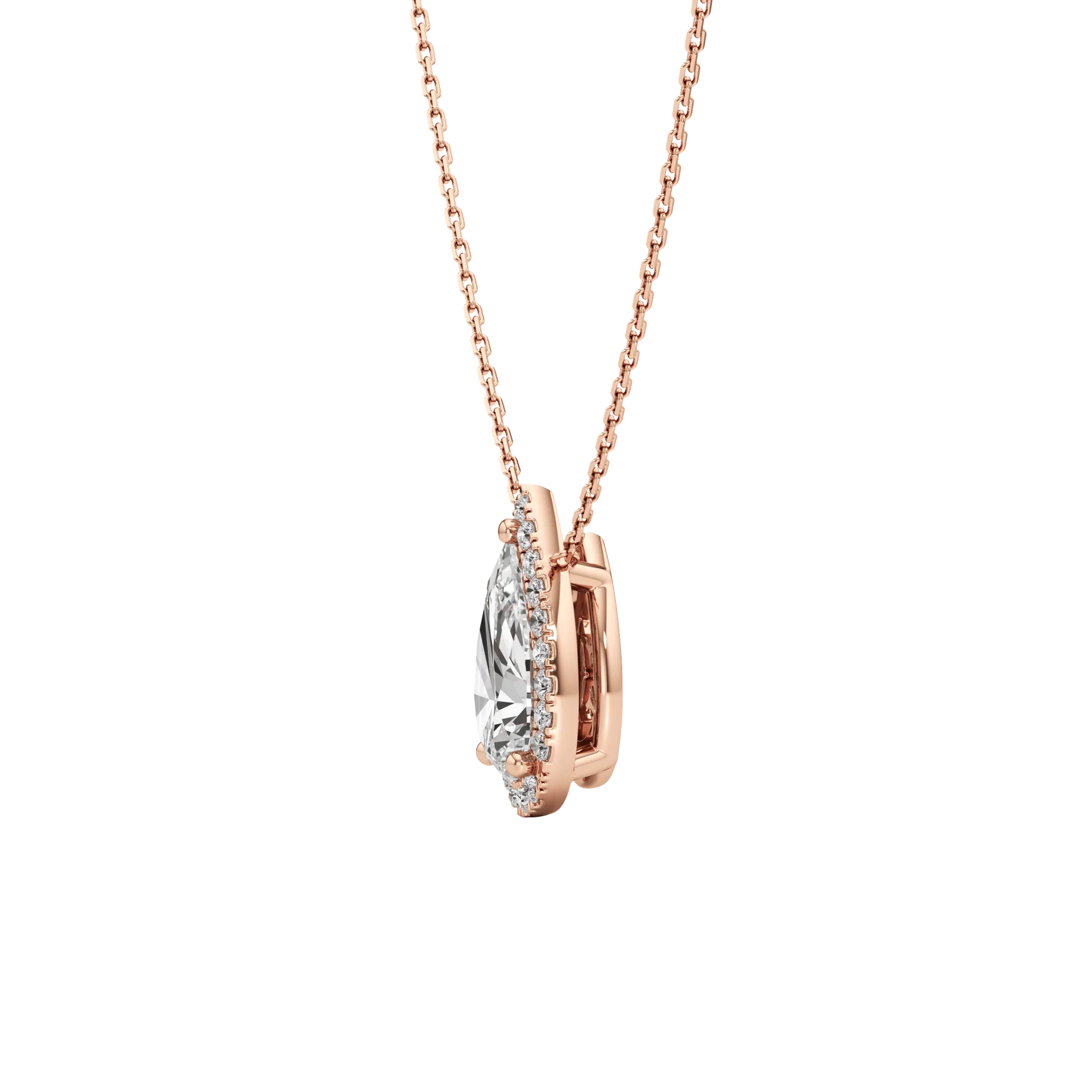 Celée Solé Rose 3