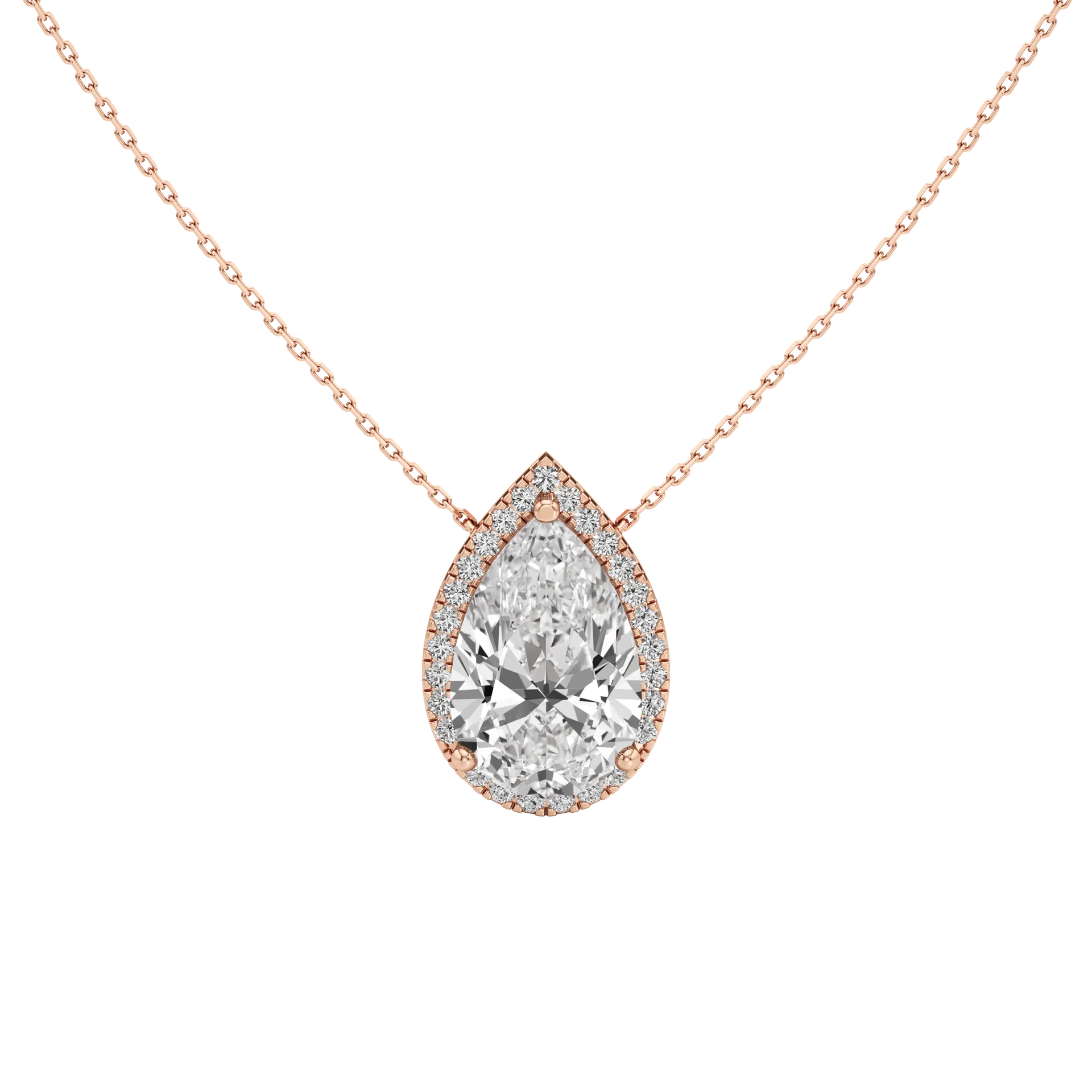 Celée Quatre Rose 1