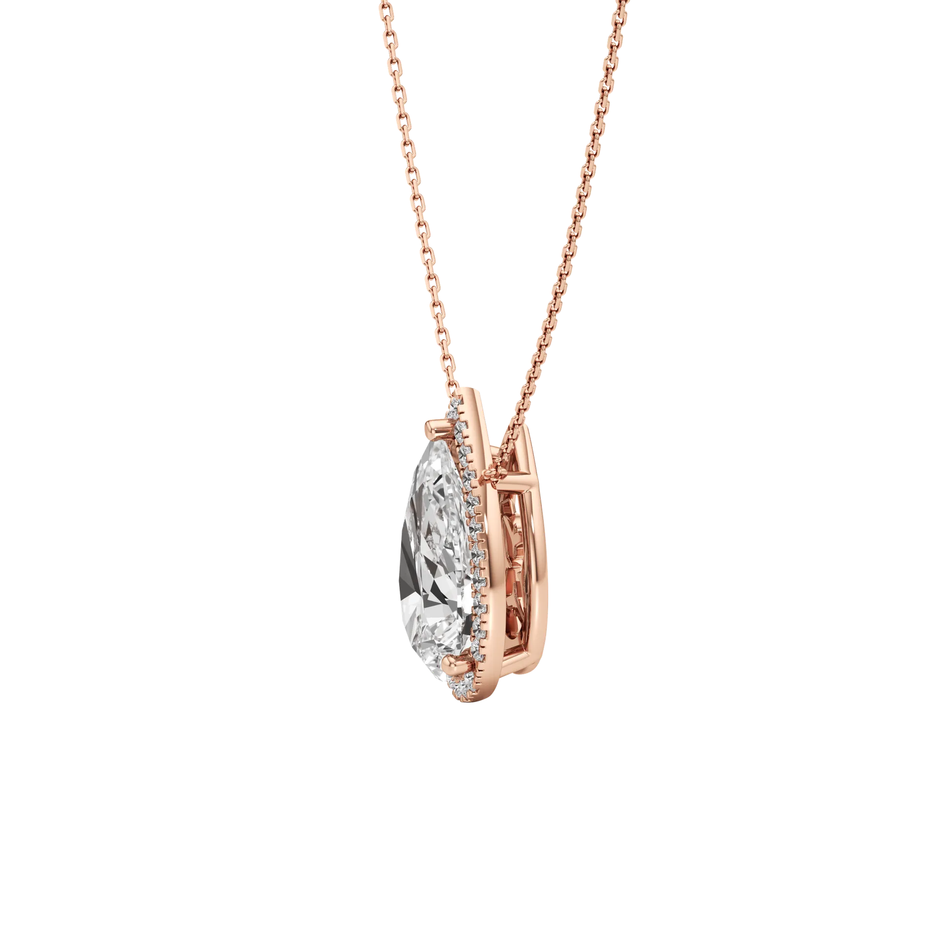 Celée Quatre Rose 3