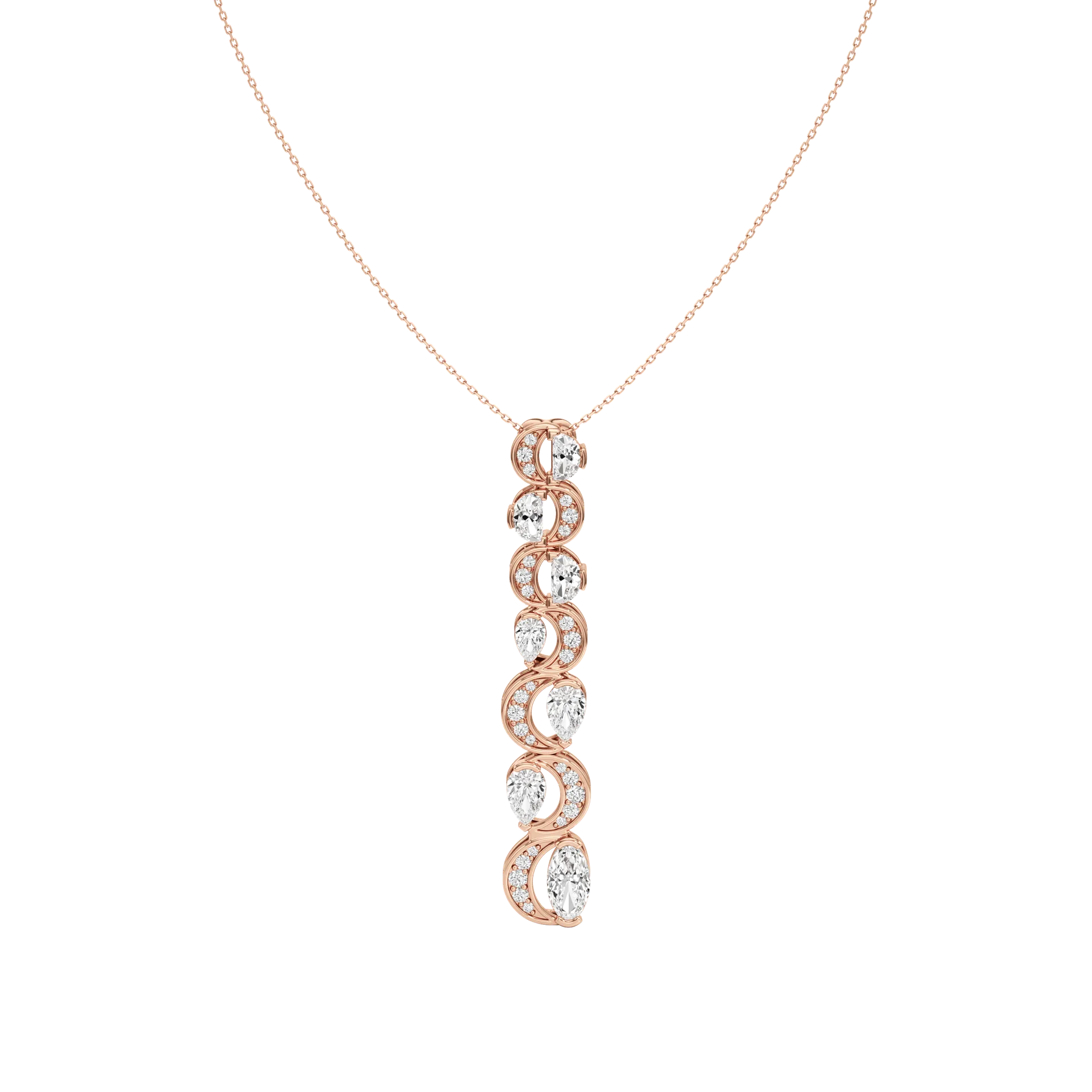 Furora Rose 1