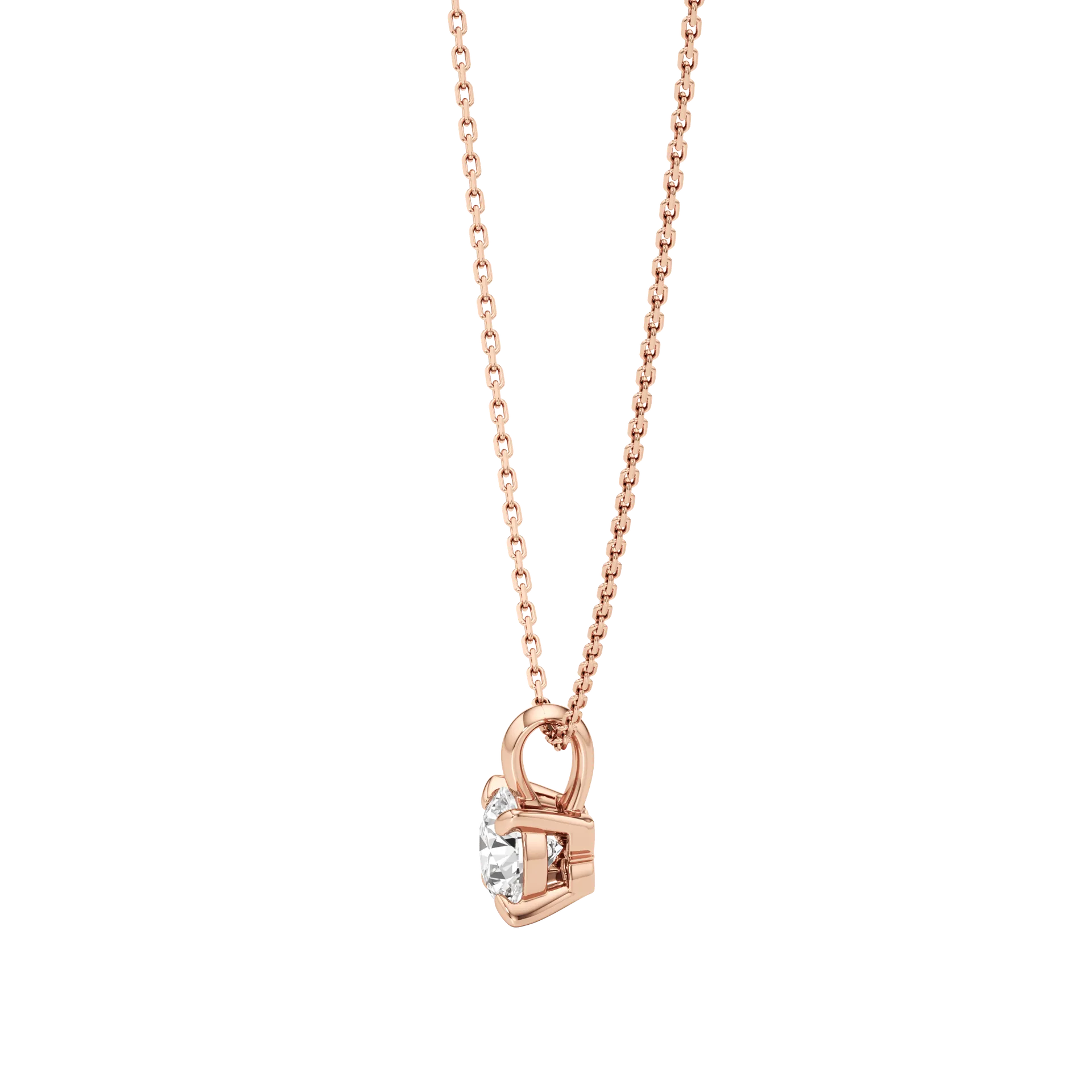 Sereno Rose 2