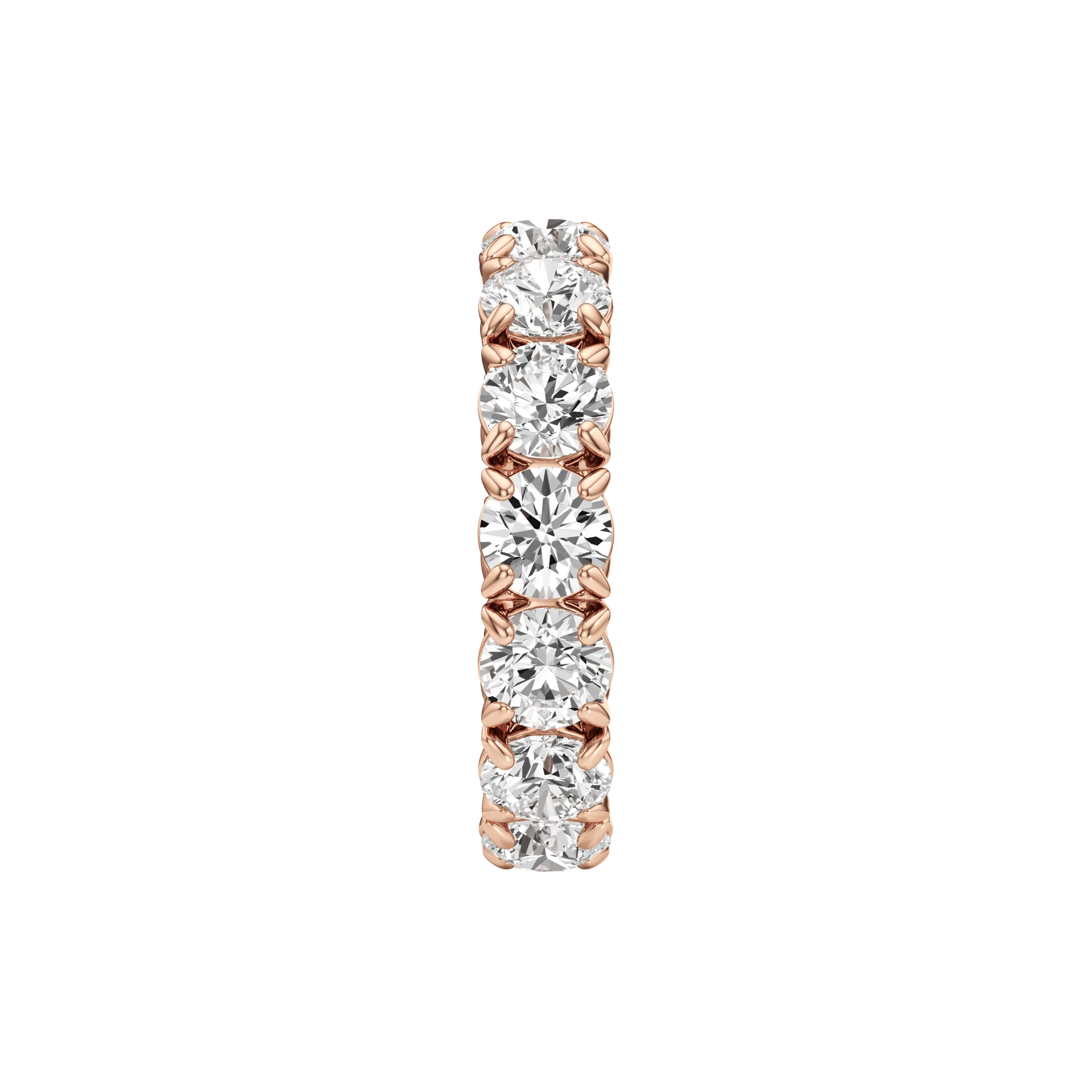 Avora Rose 4