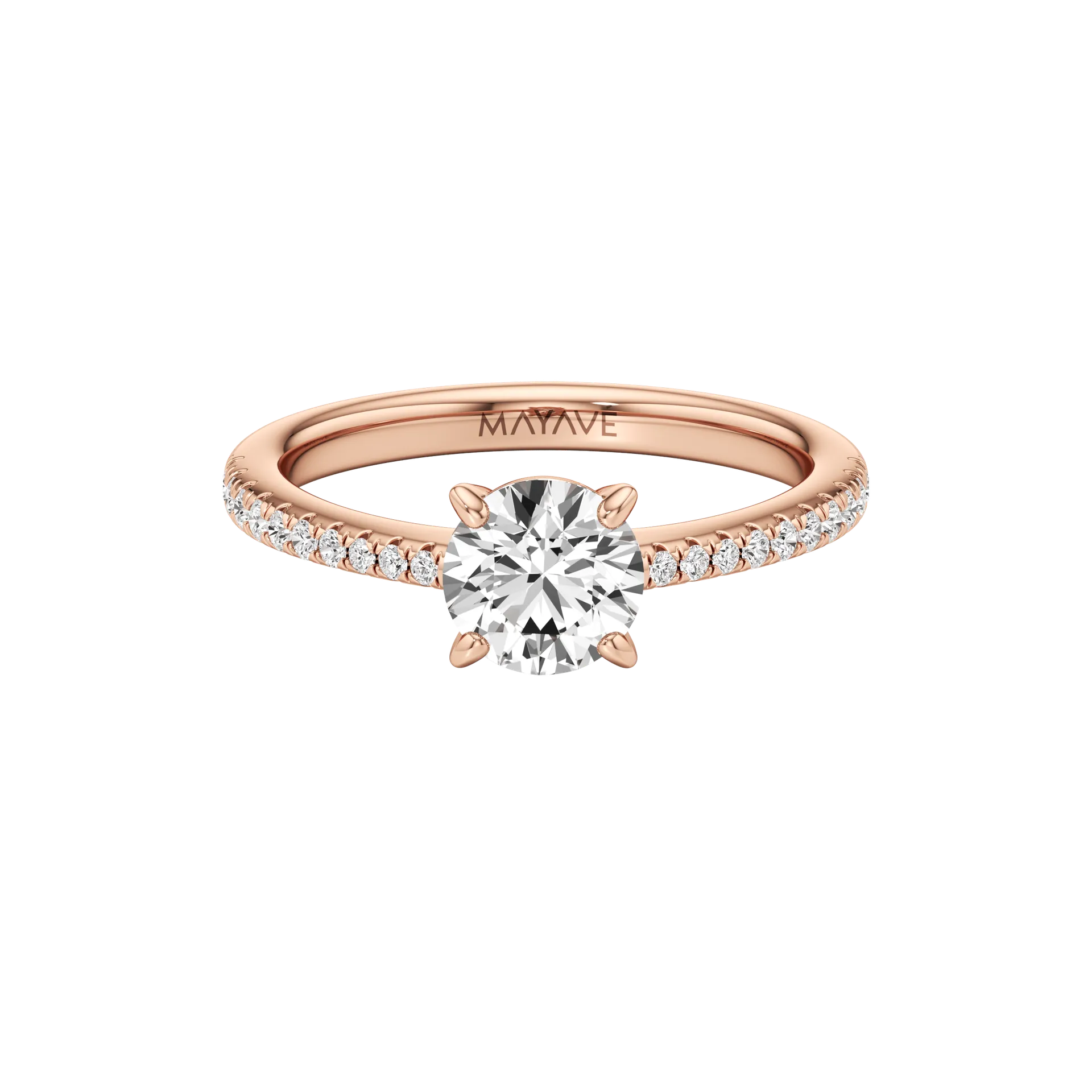 Magnifique Rose 1