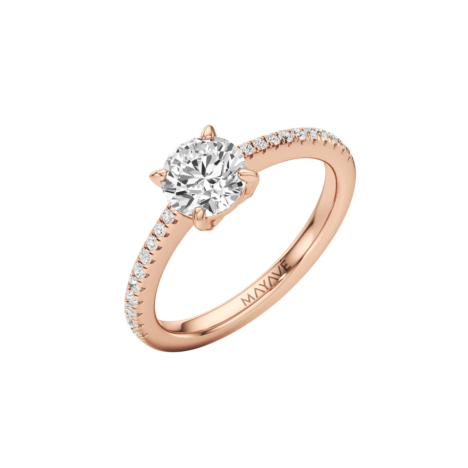 Magnifique Rose 2