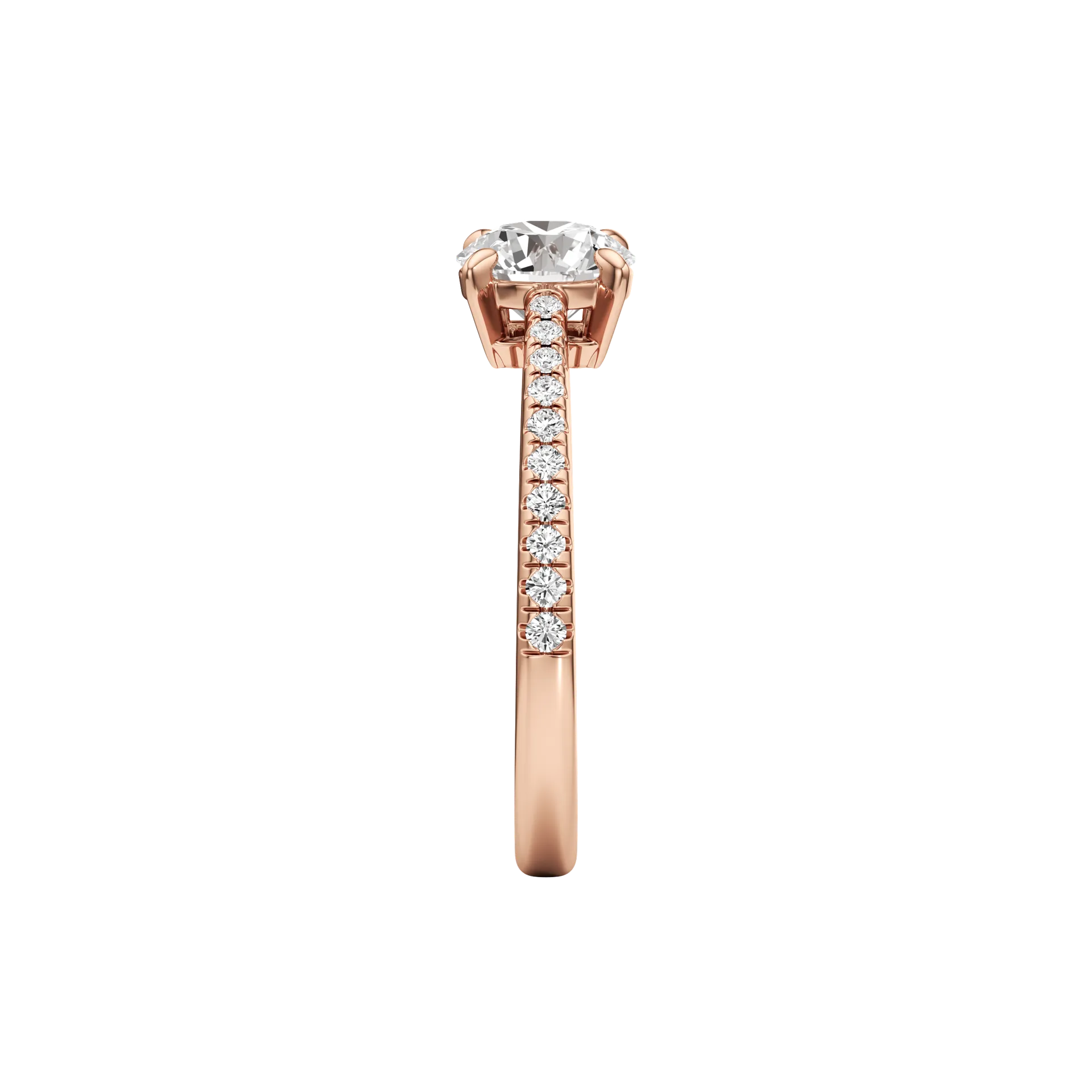 Magnifique Rose 4