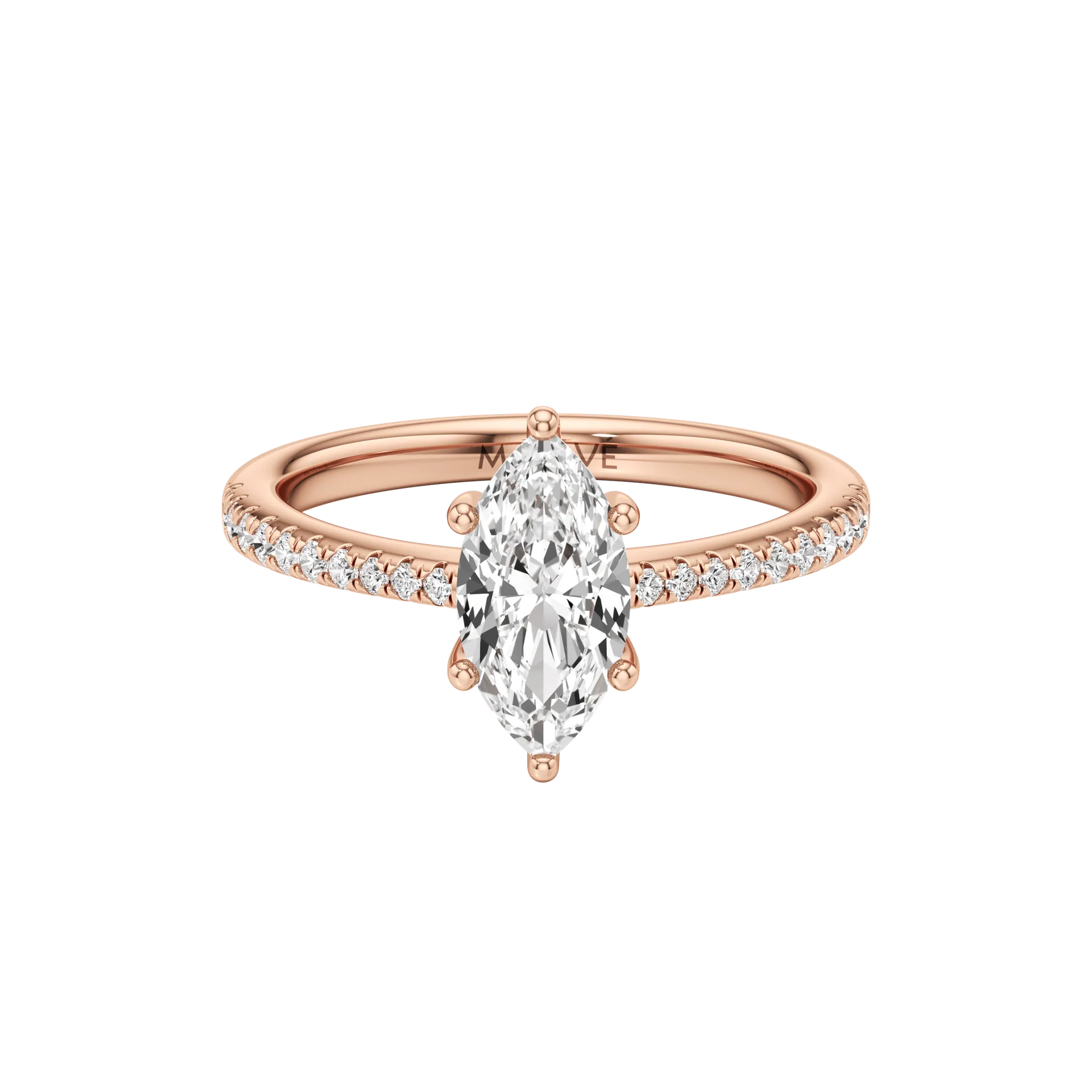 Magnifique Vive Rose 1
