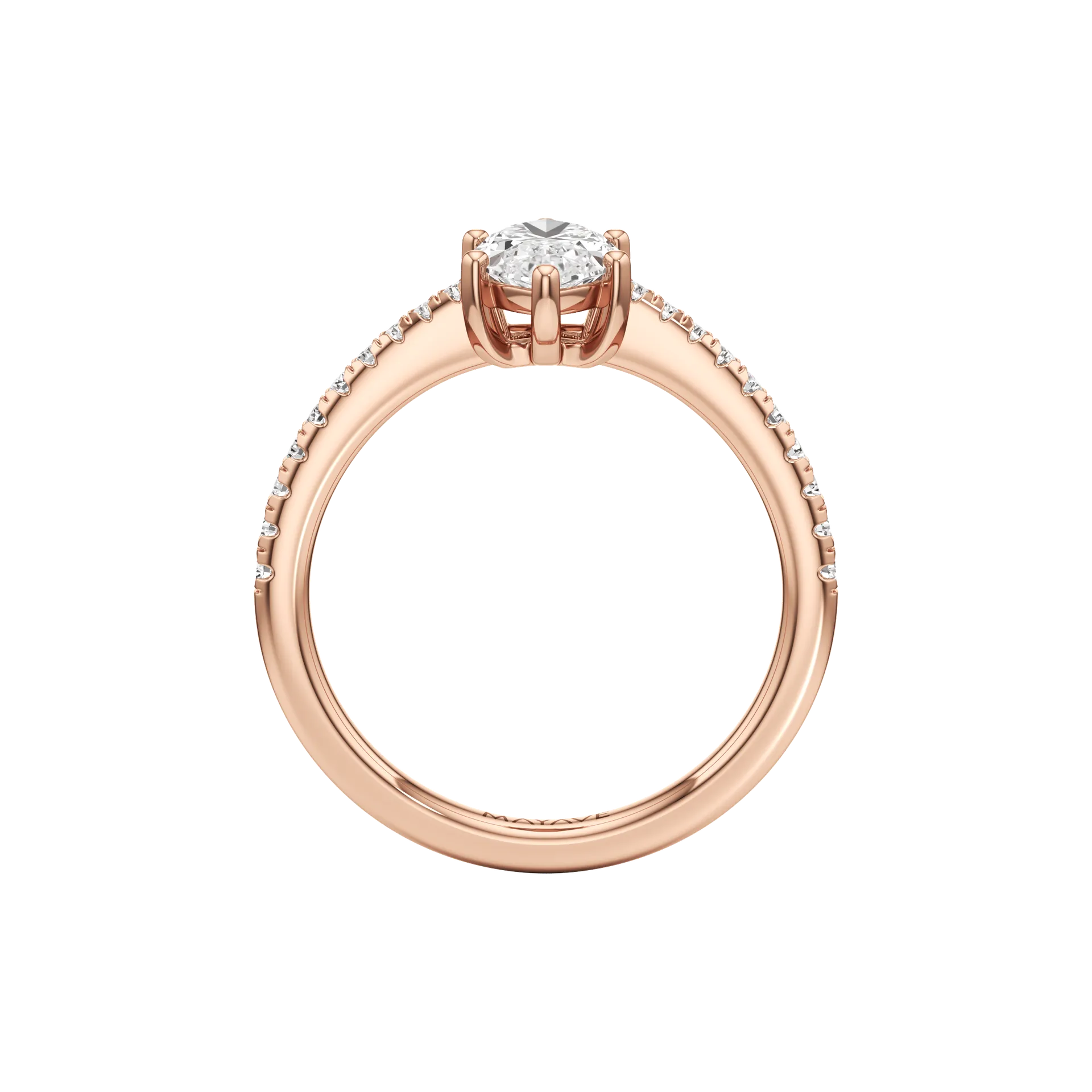 Magnifique Vive Rose 3