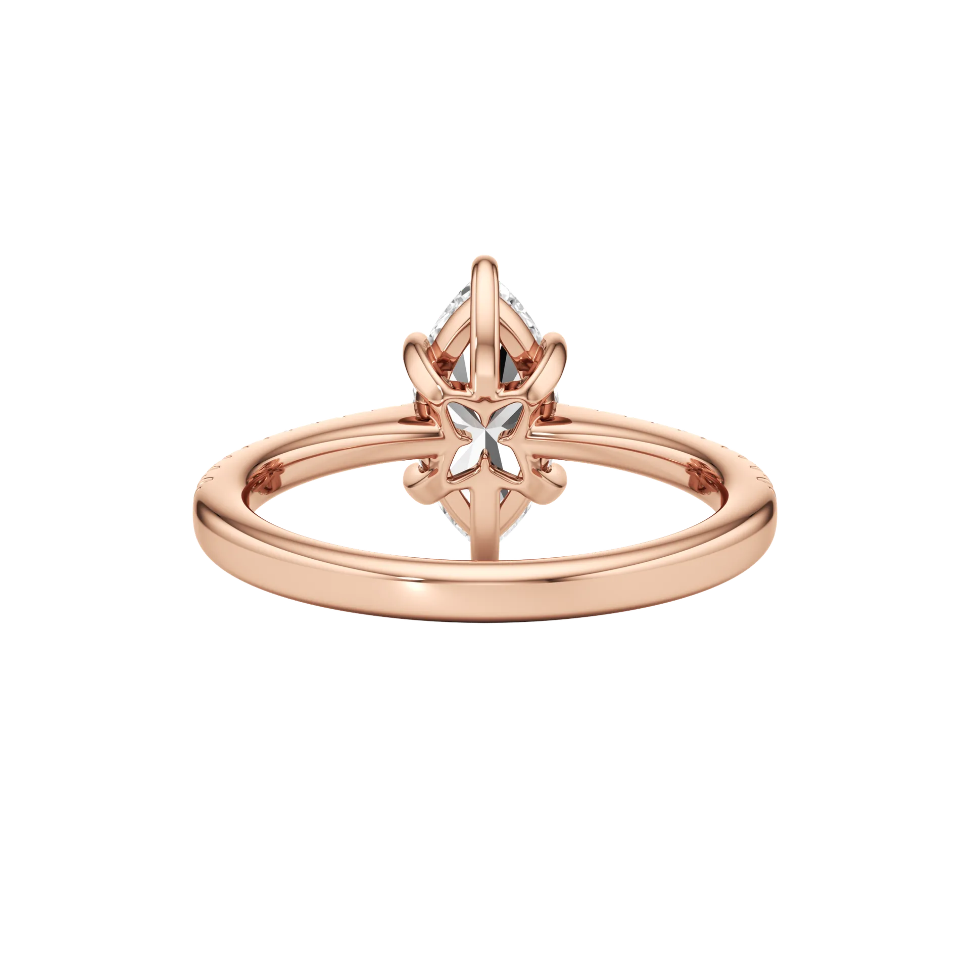 Magnifique Vive Rose 5