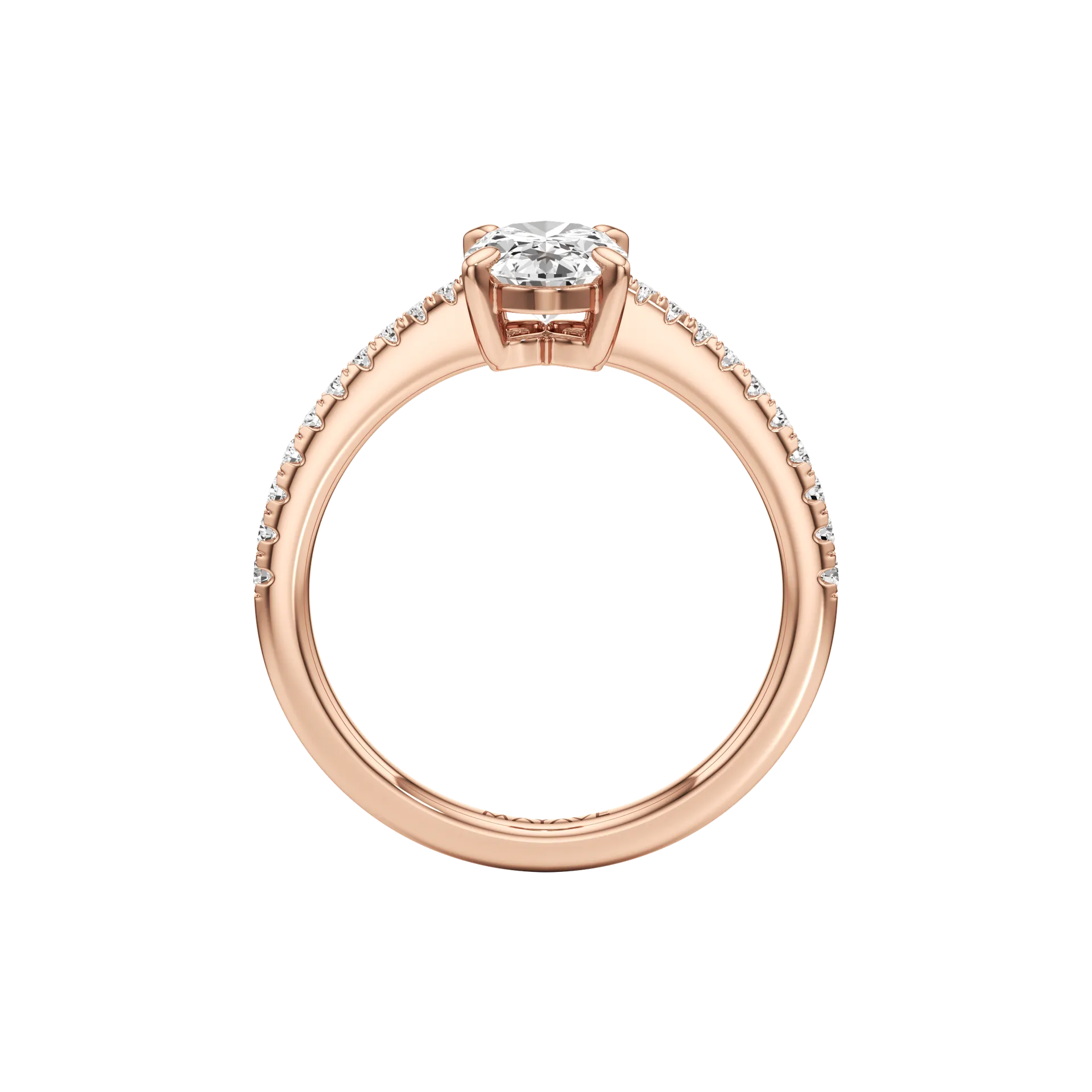 Magnifique Élan Rose 3