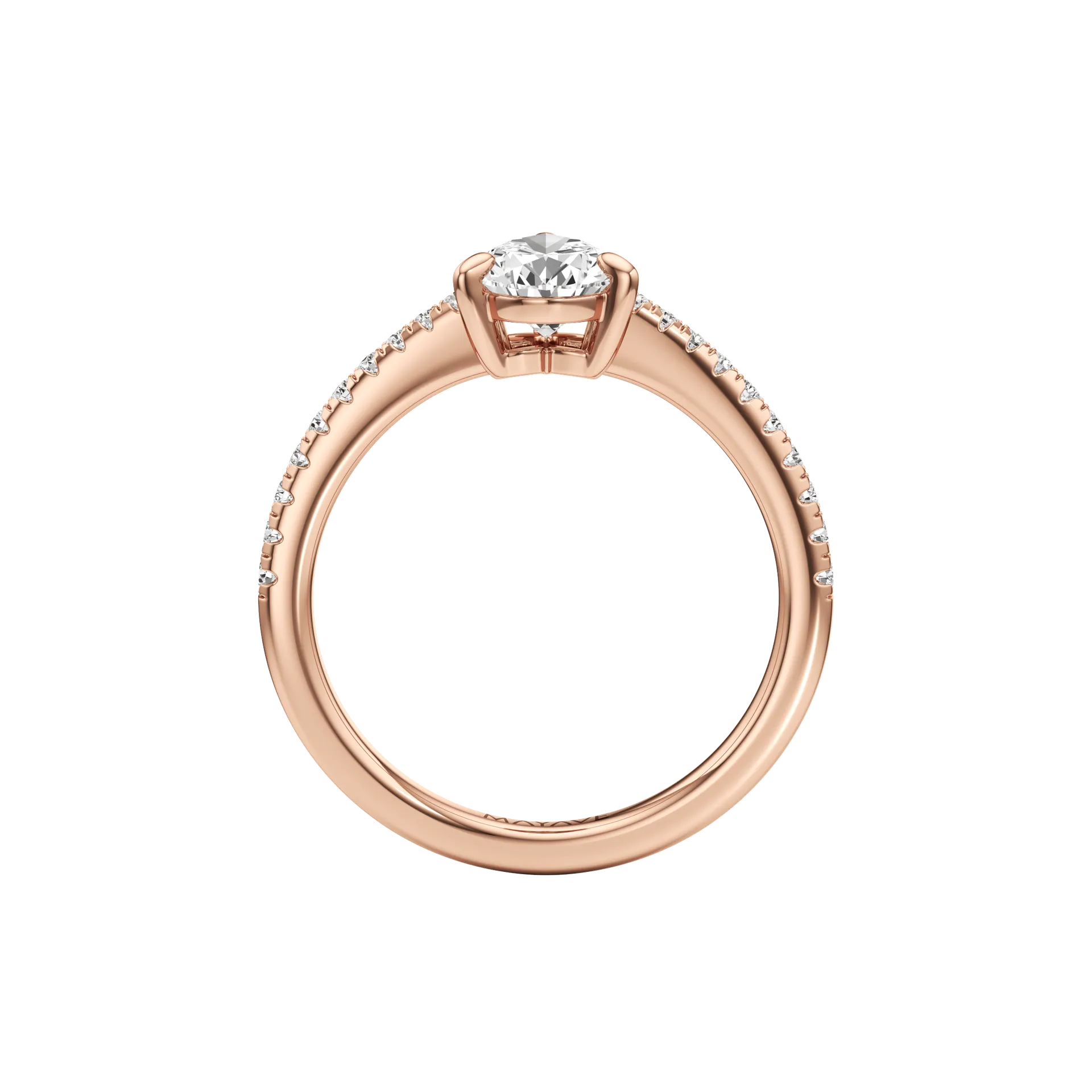 Magnifique Solé Rose 3