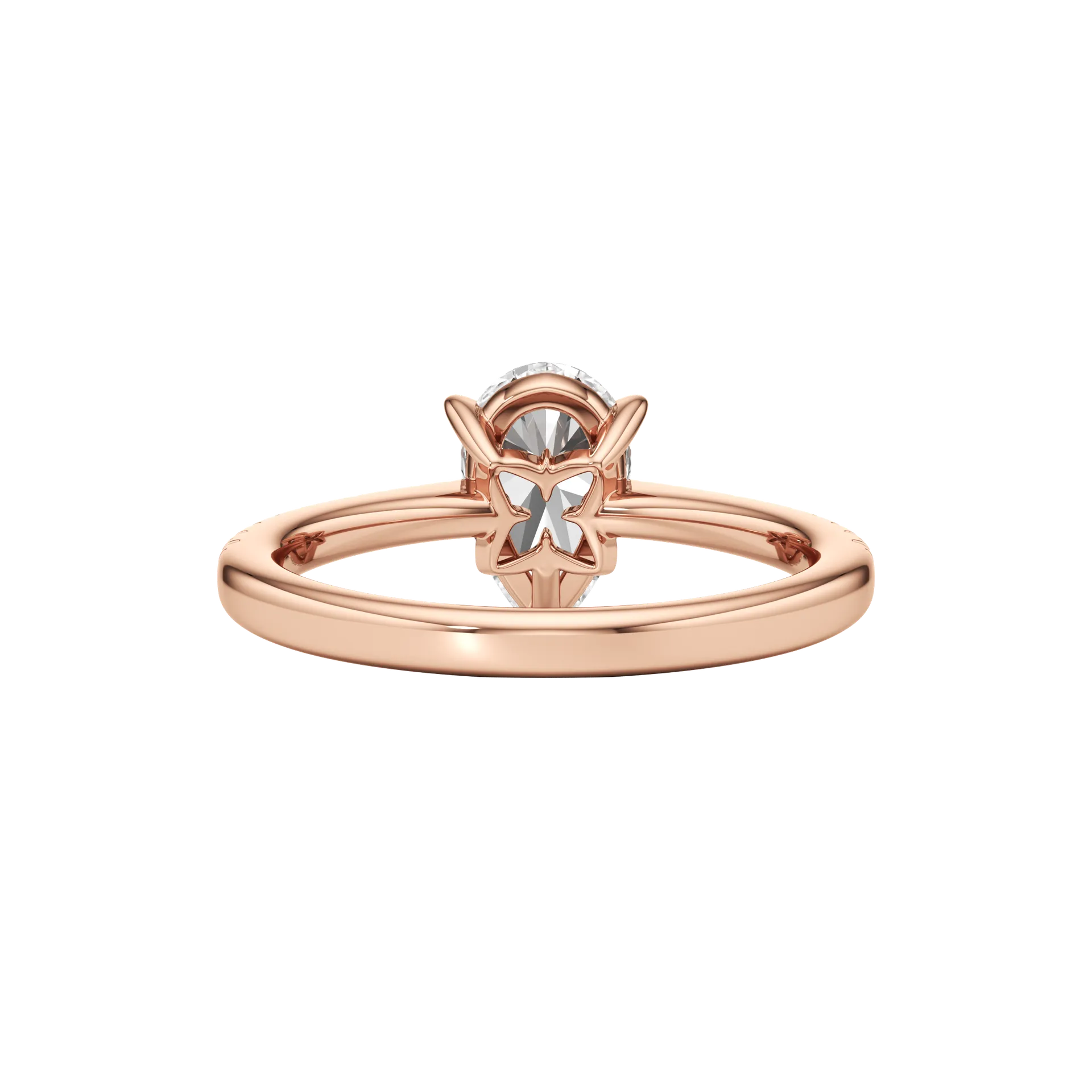 Magnifique Solé Rose 5