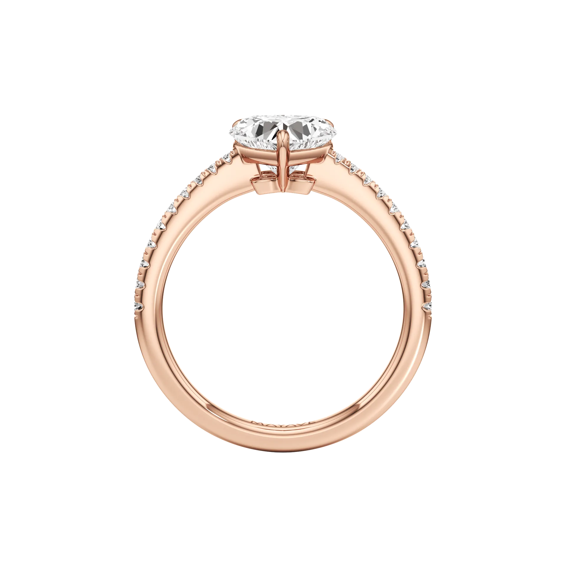 Magnifique Halo Rose 3