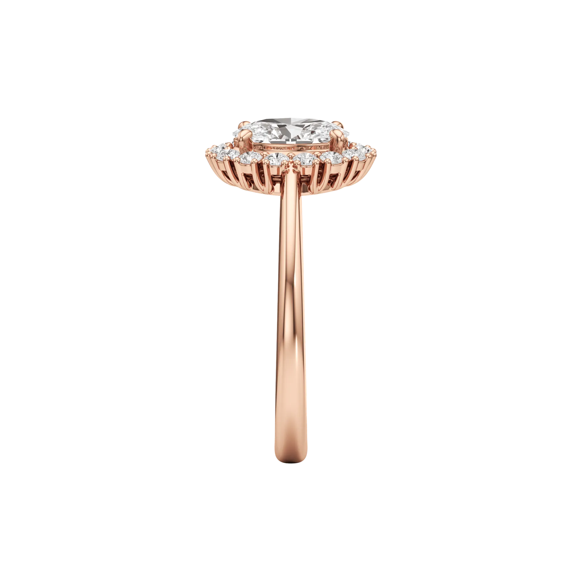 Lumineuse Élan Rose 4