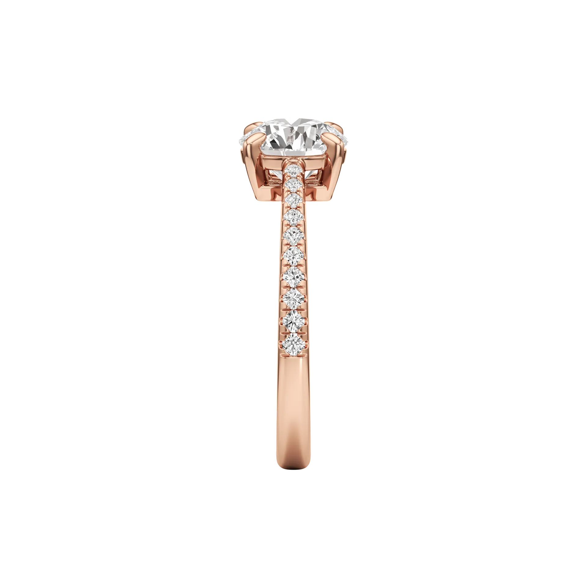 Magnifique Absolune Rose 4